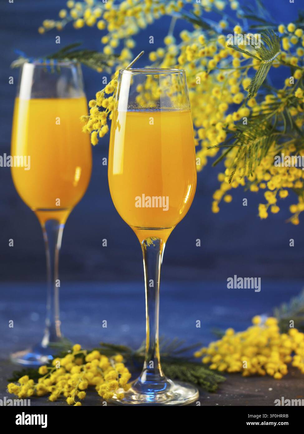 Cocktail Mimosa und Blumen auf blauem Hintergrund Stockfoto