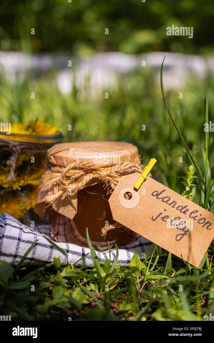 Hausgemachte Löwenzahn-Gelee in einem rustikalen Glas mit honiggelber Farbe, beschriftet mit Etikett und Schnur, auf Stoff in sonnigem Gartengras platziert, mit Fokus auf das Einmachen Stockfoto