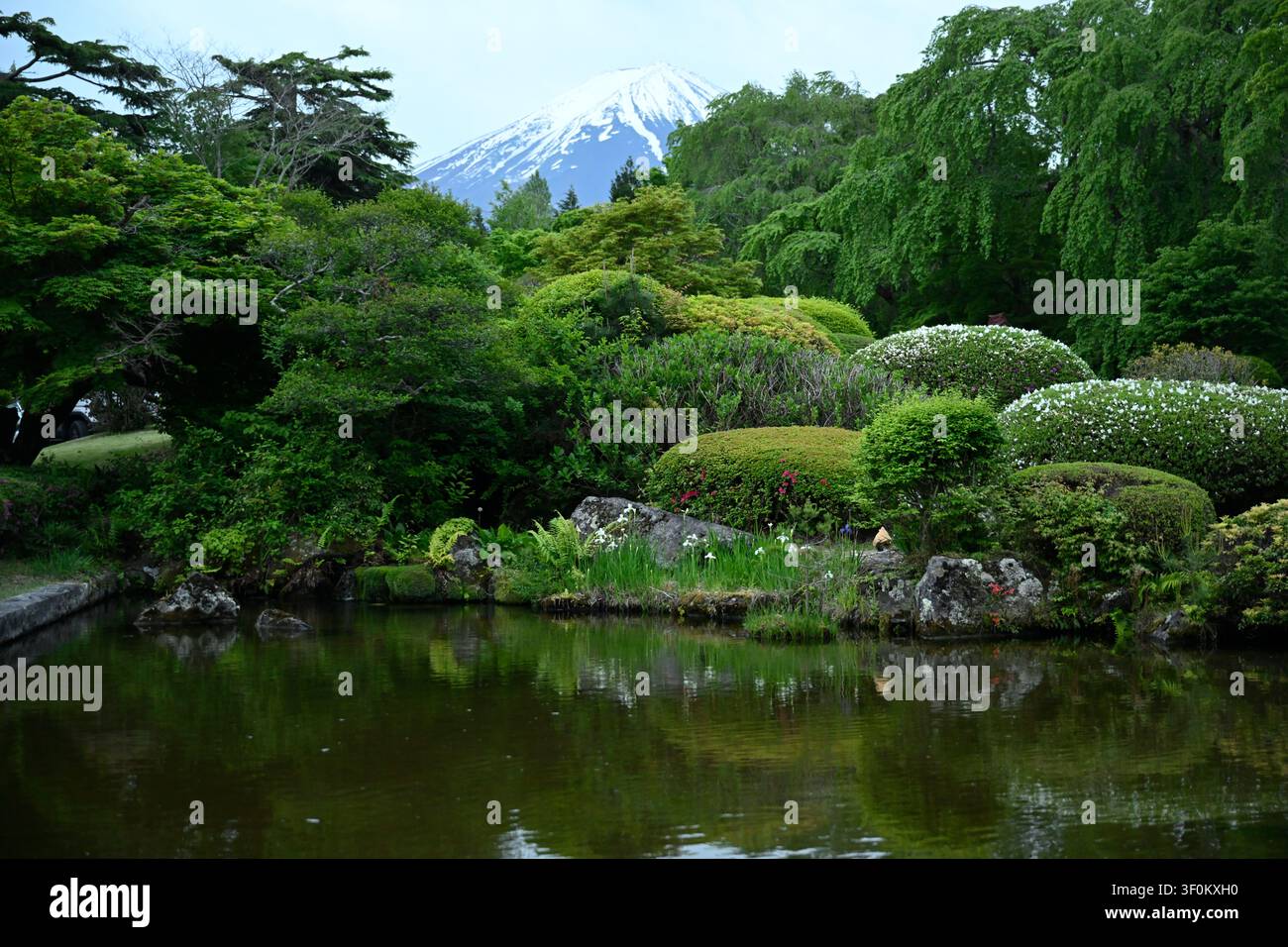Der traditionelle japanische Garten des Fuji View Hotels bietet einen Blick auf einen ruhigen Teich, während der schneebedeckte Berg Fuji im Hintergrund aufragt. Er befindet sich in Fuji Stockfoto
