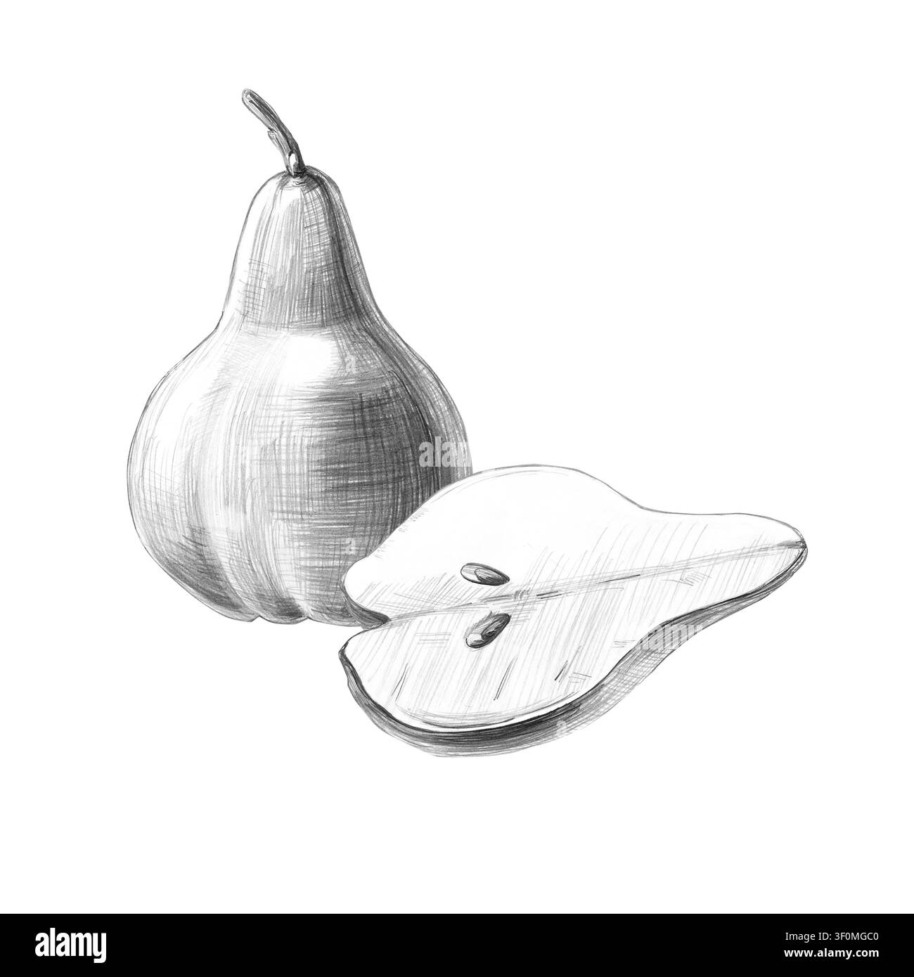 Eine ganze Birne und eine halbe. Isolierte detaillierte Bleistiftillustration für Restaurants, Cafés, Kochblogs, Lebensmittelmarken, Bauernhöfe und Lebensmittelläden. Stockfoto