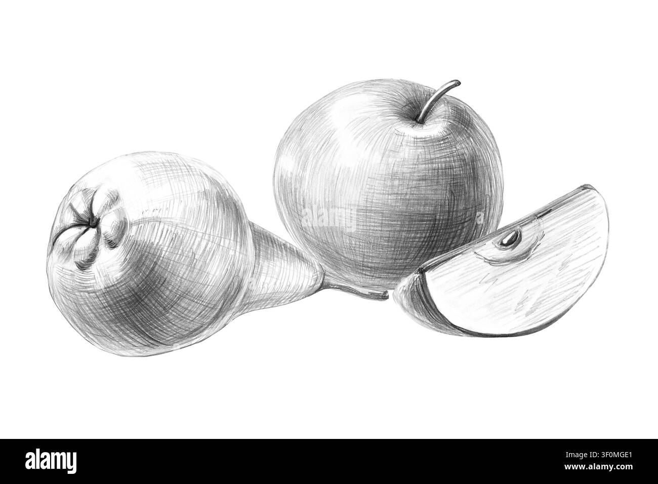 Eine Komposition aus einem ganzen Apfel, einer Birne und einer Apfelscheibe. Isolierte, detaillierte Bleistiftillustration für Restaurants, Cafés, kulinarische Blogs, Lebensmittelmarken Stockfoto