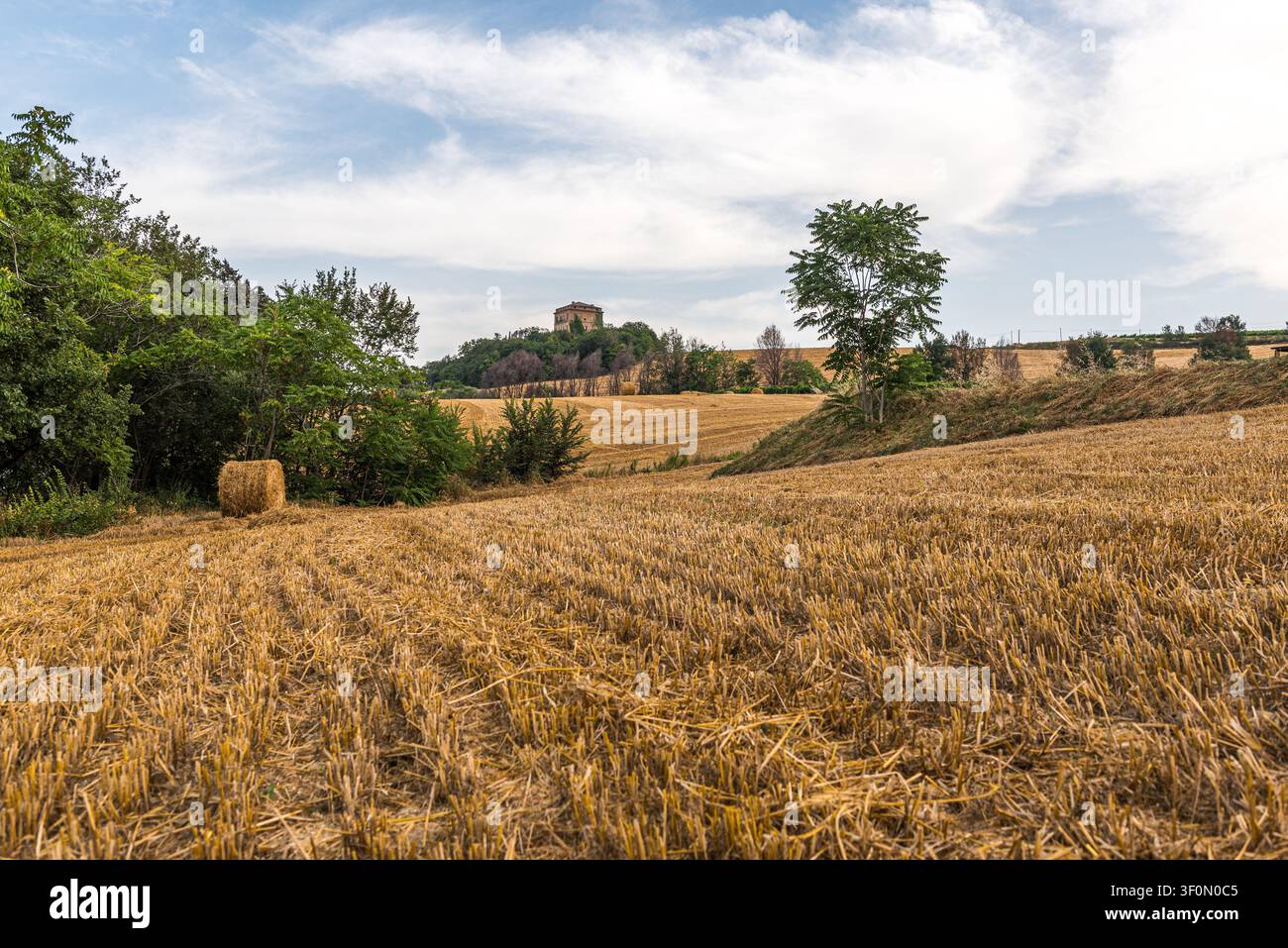 Ein weitläufiges, geerntetes Weizenfeld erstreckt sich über hügeliges Gelände in der Region Emilia-Romagna im Norden Italiens. Stockfoto