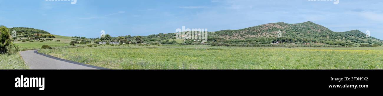 große panoramische Landschaft mit sich windender Straße in der grünen Landschaft der Canai-Ebene, aufgenommen im hellen Frühlingslicht auf der Insel Sant Antioco, Cagliari Stockfoto
