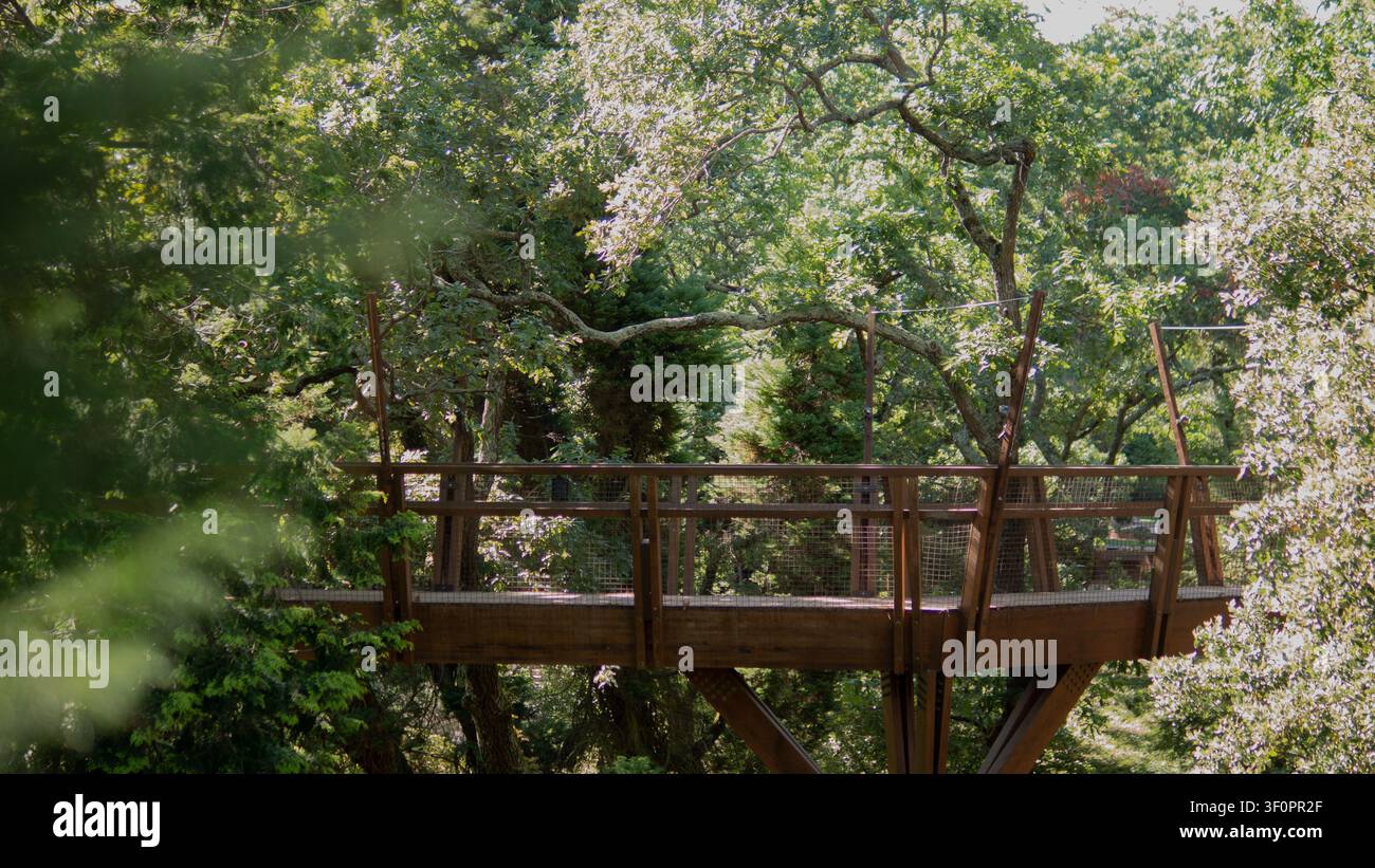 Hölzerne Baldachinbrücke, umgeben von alten Bäumen in einem üppigen botanischen Garten Stockfoto