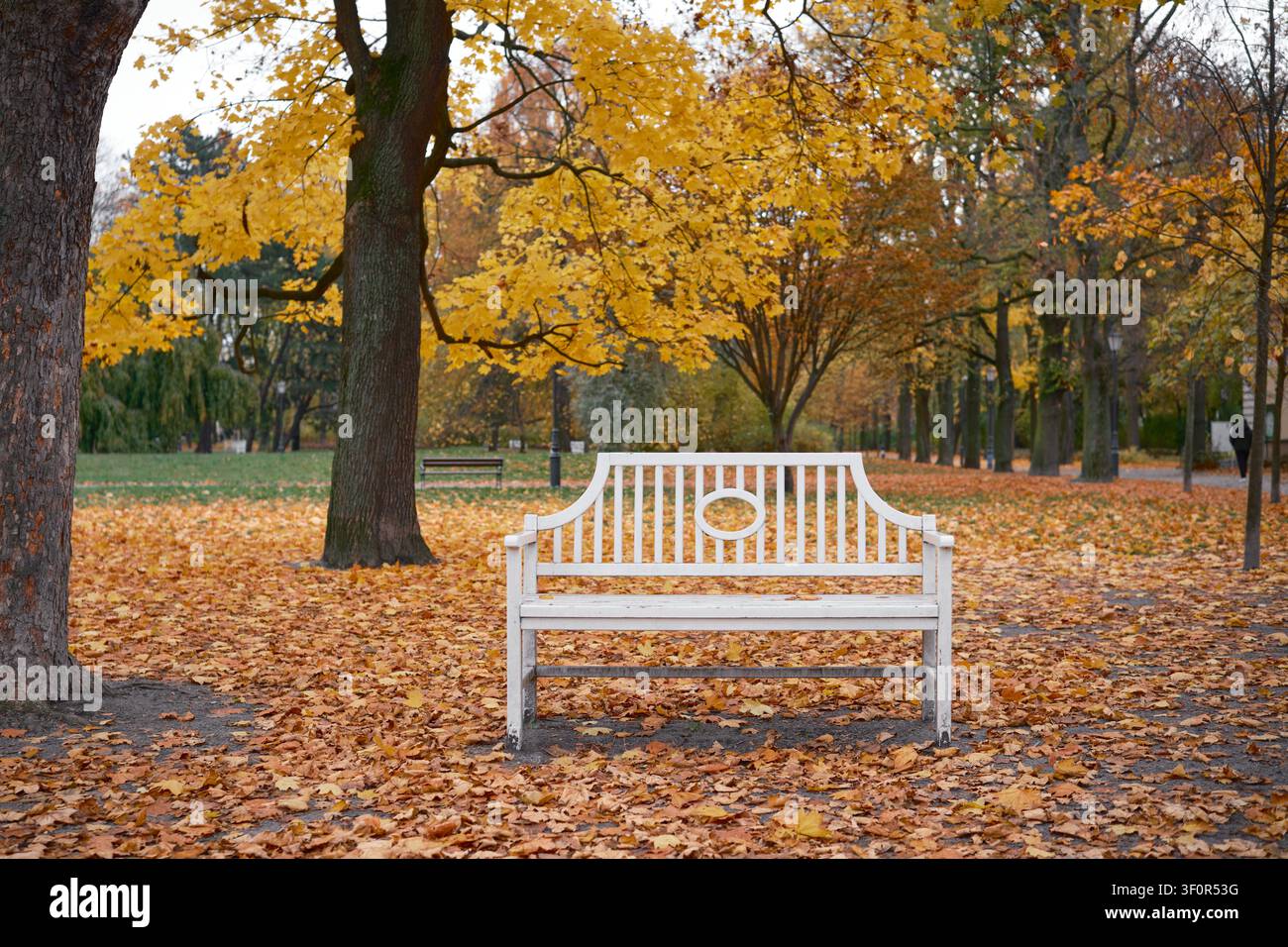 Leere weiße Parkbank, umgeben von gefallenen Herbstblättern in einem friedlichen Stadtpark für ruhige saisonale Outdoor-Themen. Stockfoto
