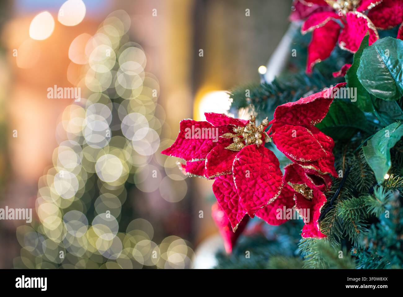 Weihnachtsrote Blumendeko auf Baum mit Lichtbokeh im Hintergrund. Stockfoto