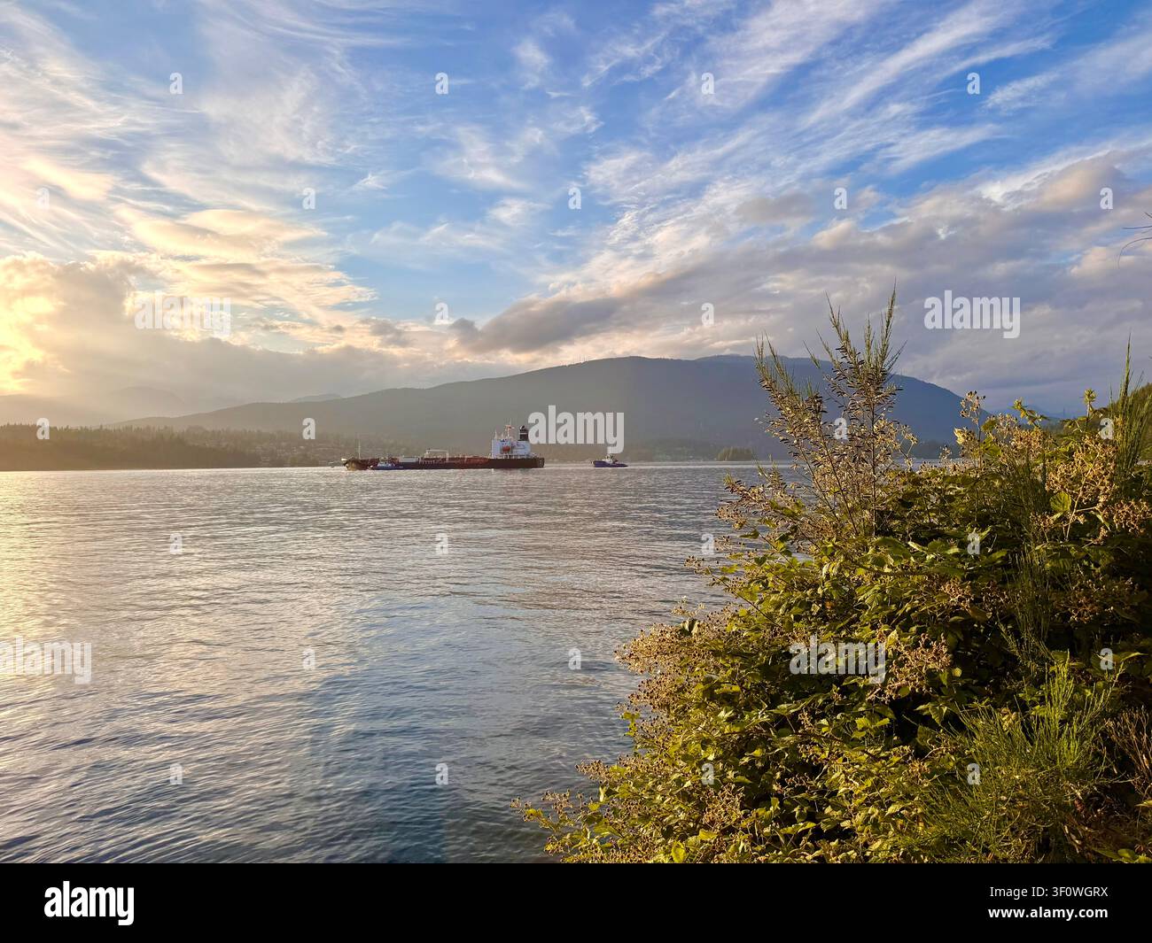 Sonnenuntergang über dem Burrard Inlet vom Barnet Marine Park in Burnaby, Metro Vancouver, mit einem Schlepper und einer Schleppkahn, die bewaldete Berge in British Columbia passieren - Smartphone-aufgenommenes Stockfoto