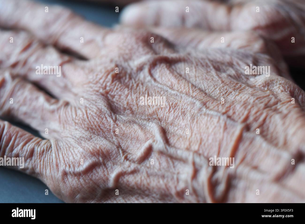 Falten erzählen Geschichten eines gut gelebten Lebens in zarten Händen Stockfoto
