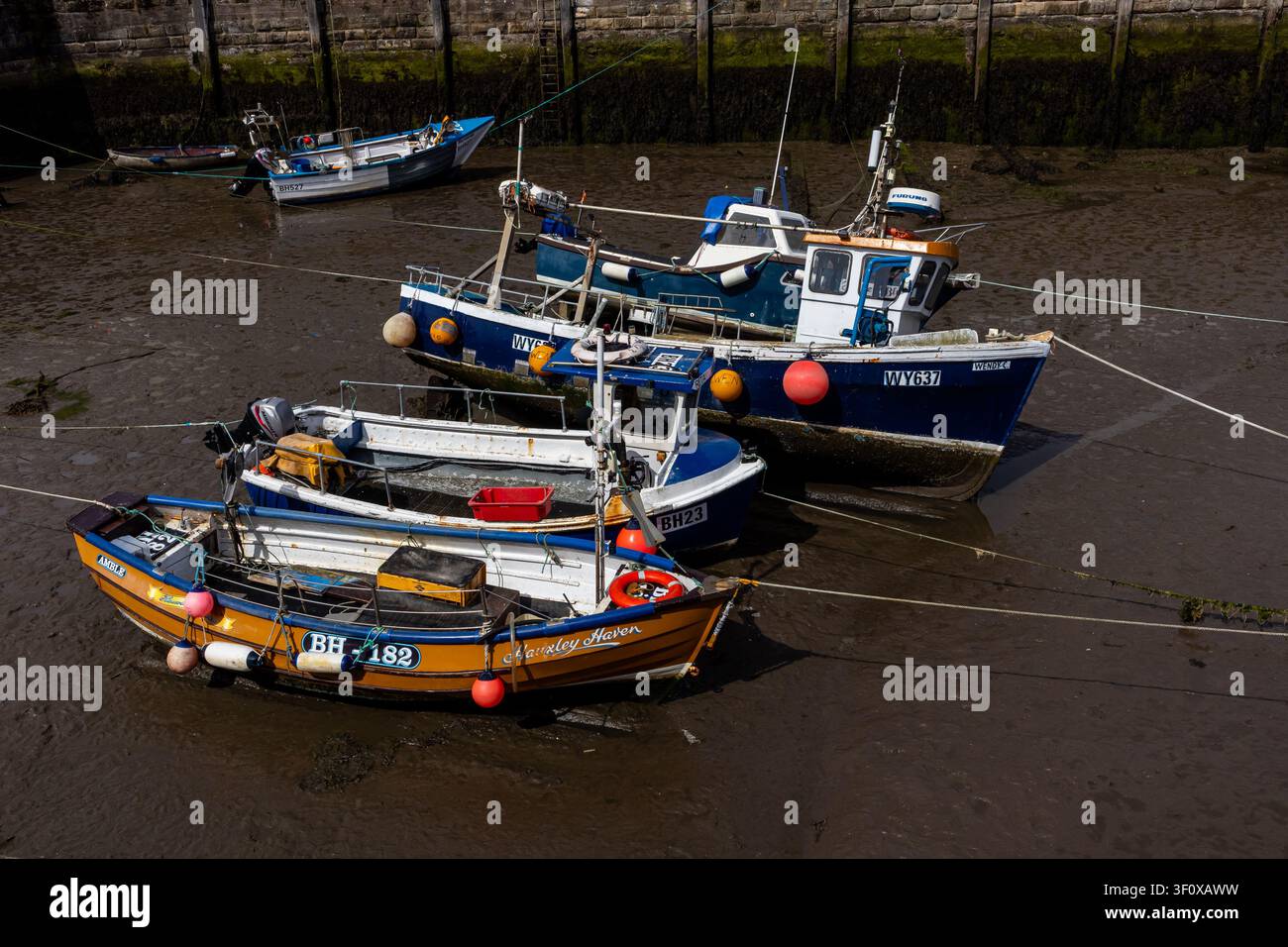 Fischerboote, die bei Ebbe im Amble Harbour auf dem Schlamm gestrandet sind Stockfoto