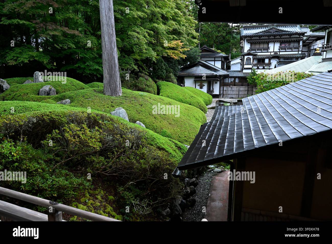 Wellige, moosbedeckte Hügel, entworfen von Mirei Shigemori, umgeben die Gärten des Tempels Fukuchi-in auf dem Berg Koya in Japan. Verschmelzung von geformten Landformen Stockfoto