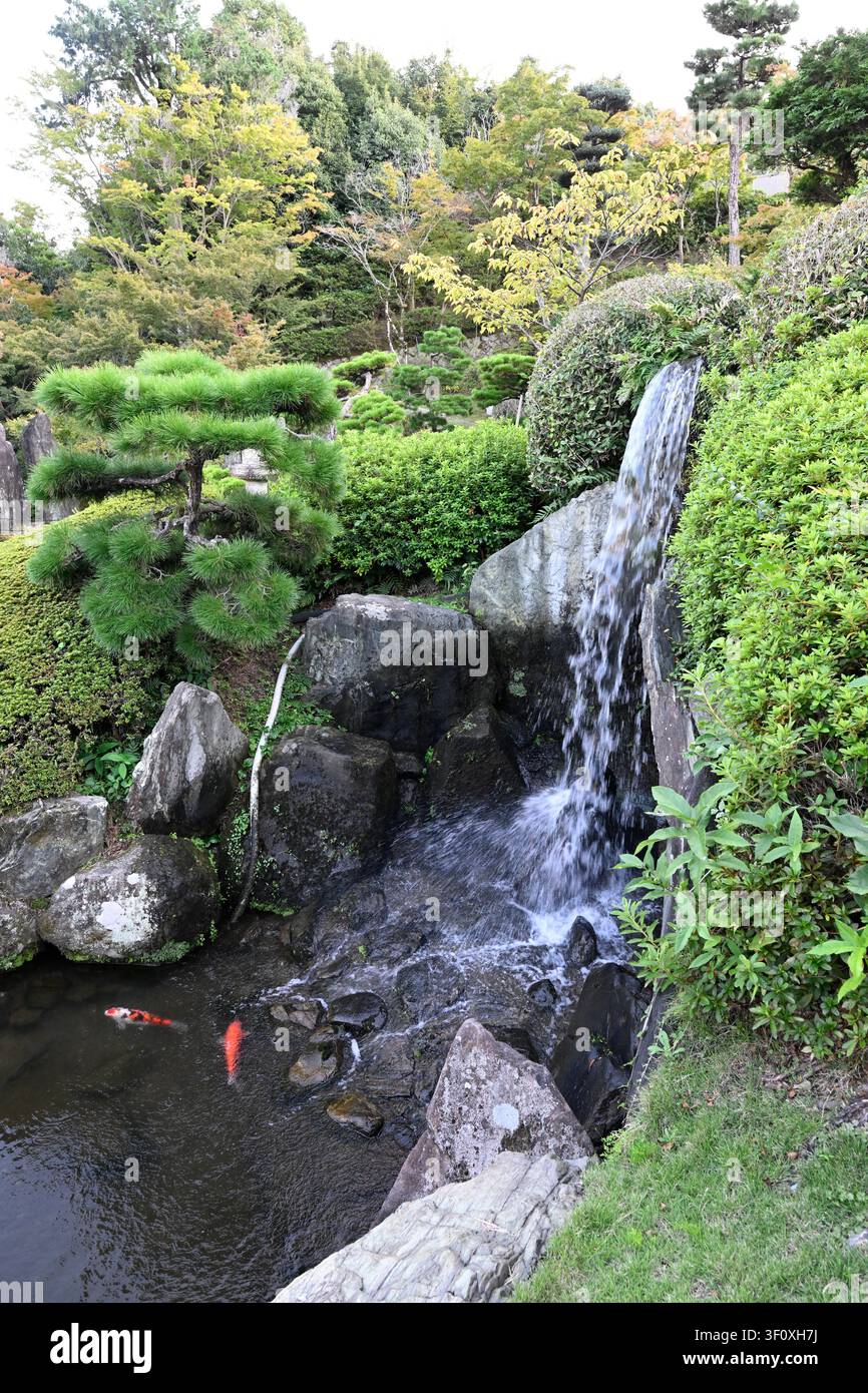 Wasserfall stürzt in einen Koi-Teich, umgeben von gepflegten Kiefern, Ziersträuchern und sorgfältig angeordneten Steinen im traditionellen Garten von Hanbe G Stockfoto