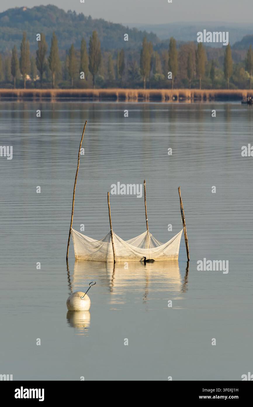 Traditionelle Fischfalle (Reuse) am Bodensee, Iznang, Halbinsel Höri, Baden-Württemberg, Deutschland Stockfoto