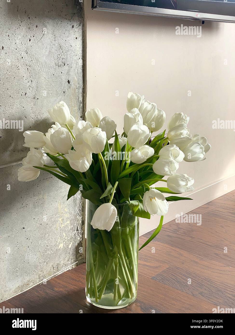 Elegantes Bouquet aus frischen weißen Tulpen, arrangiert in einer Glasvase mit warmem natürlichem Sonnenlicht im Innenraum. Stockfoto