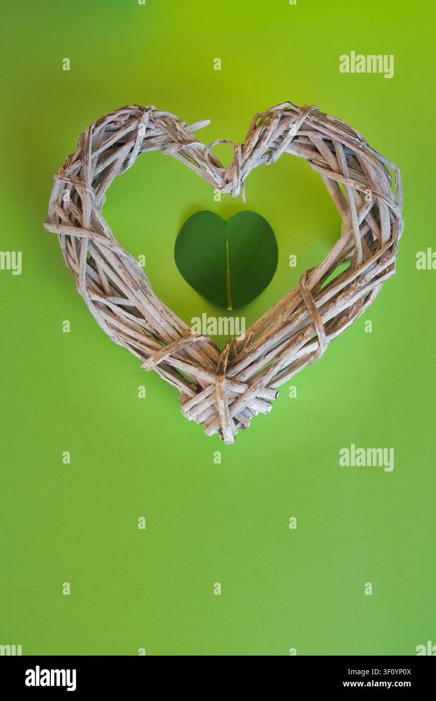 Herzförmiges Weidenornament mit einem grünen Blatt-herz auf einem hellgrünen Hintergrund mit Kopierraum. Stockfoto