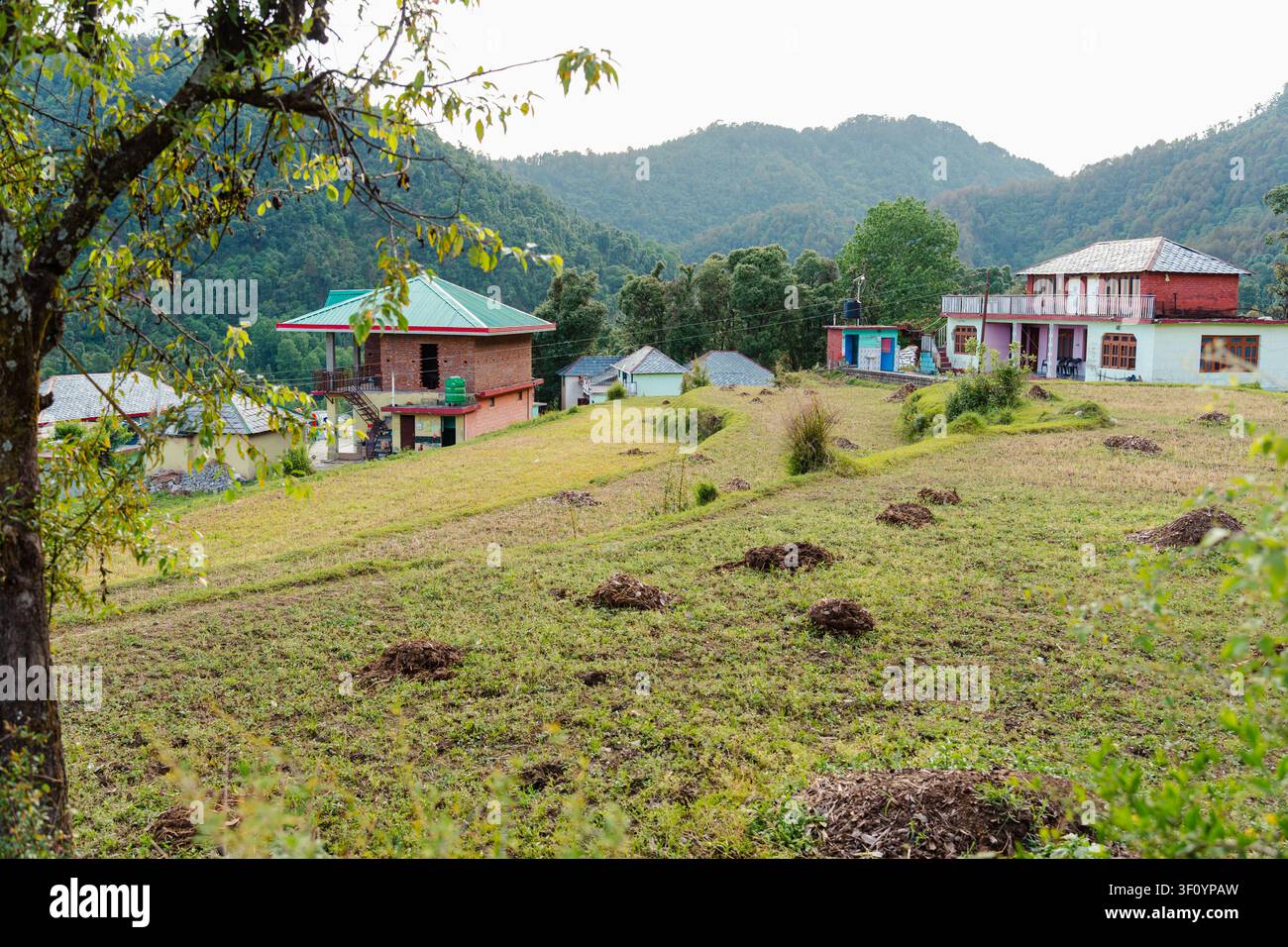 Ein malerischer Blick auf traditionelle Häuser und Terrassenfelder in der üppigen Berglandschaft von Himachal Pradesh. Stockfoto