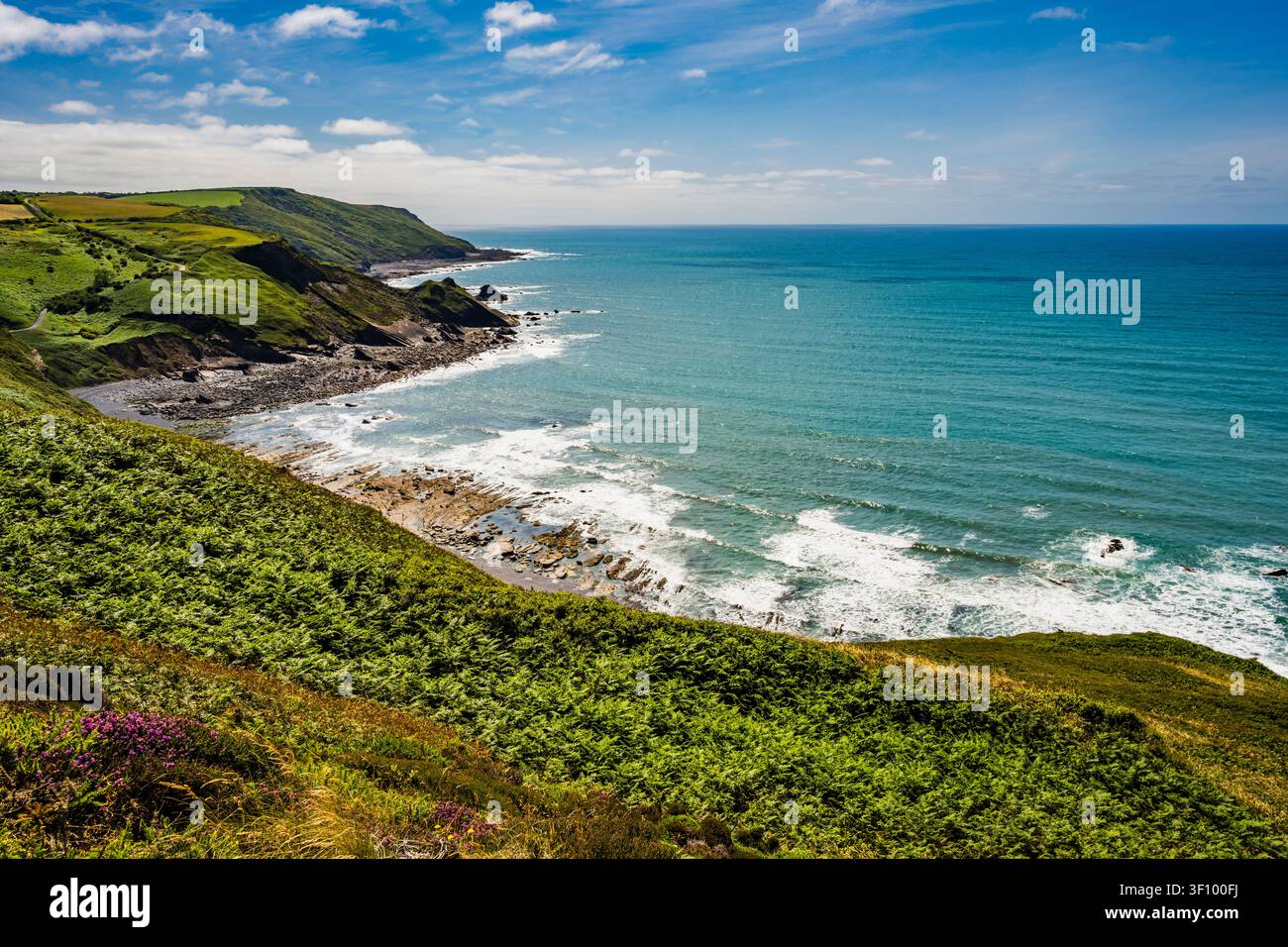 Blick von Penhalt Cliff auf Millook Haven, Cornwall, UK Stockfoto