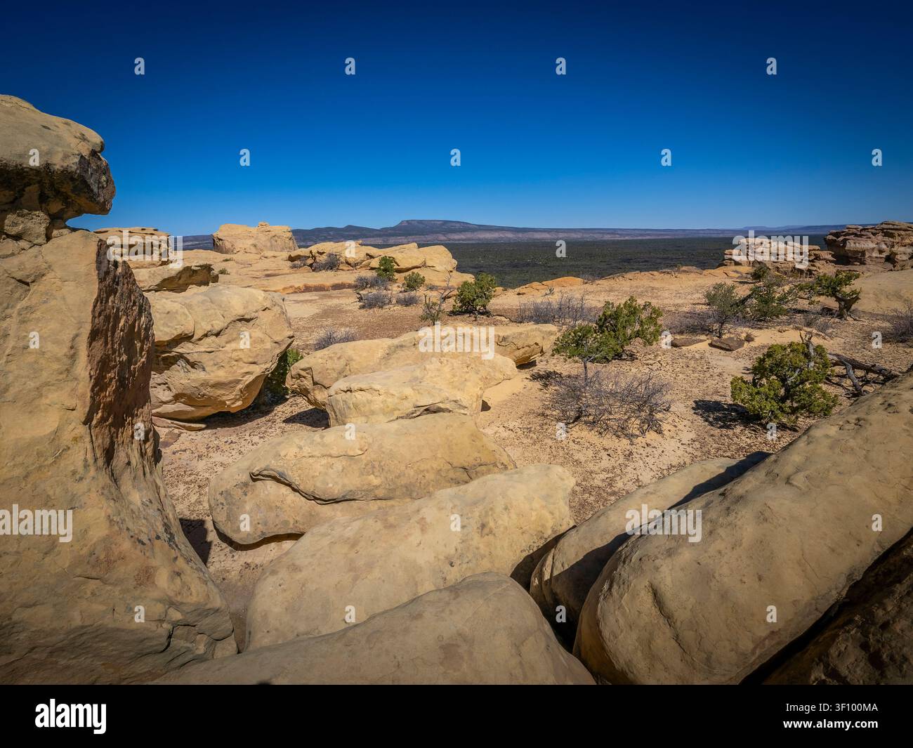 Sandstein-Klippen-Gebiet des El Malpais National Monuments in der Nähe der Stadt Grants in Neew Mexico im Südwesten der Vereinigten Staaten. Stockfoto