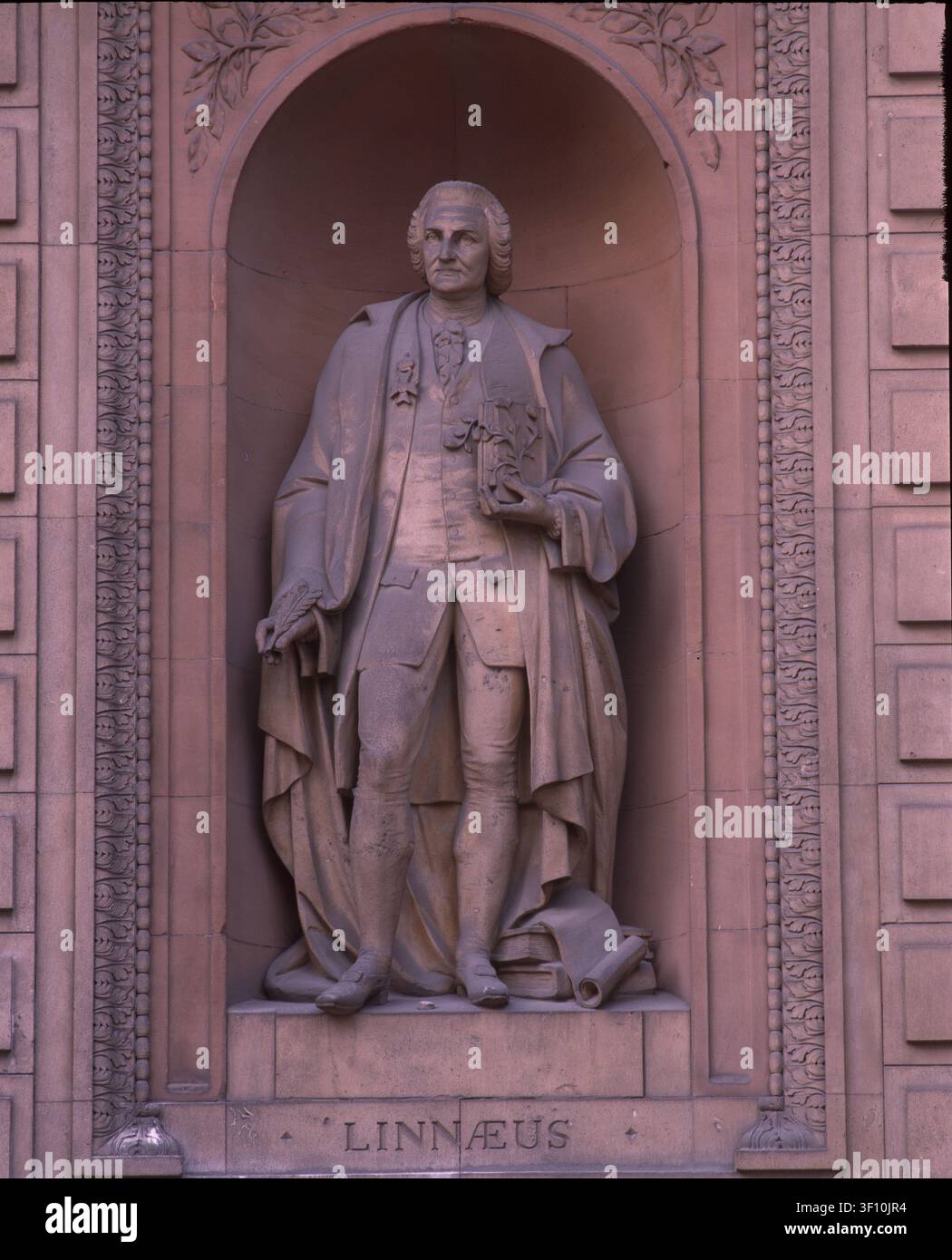 Linnaeus, ca. 1870. Statue des schwedischen Naturforschers und Botanikers Carl Linnaeus, von Patrick MacDowell. Eine von 22 Skulpturen an der Fassade von 6 Burlington Gardens, einem italianisierenden Grade II*-gelisteten Gebäude in Mayfair, entworfen von Sir James Pennethorne zwischen 1867 und 1870 als Hauptsitz der Universität London. Es wird derzeit von der Royal Academy of Arts genutzt. Stockfoto