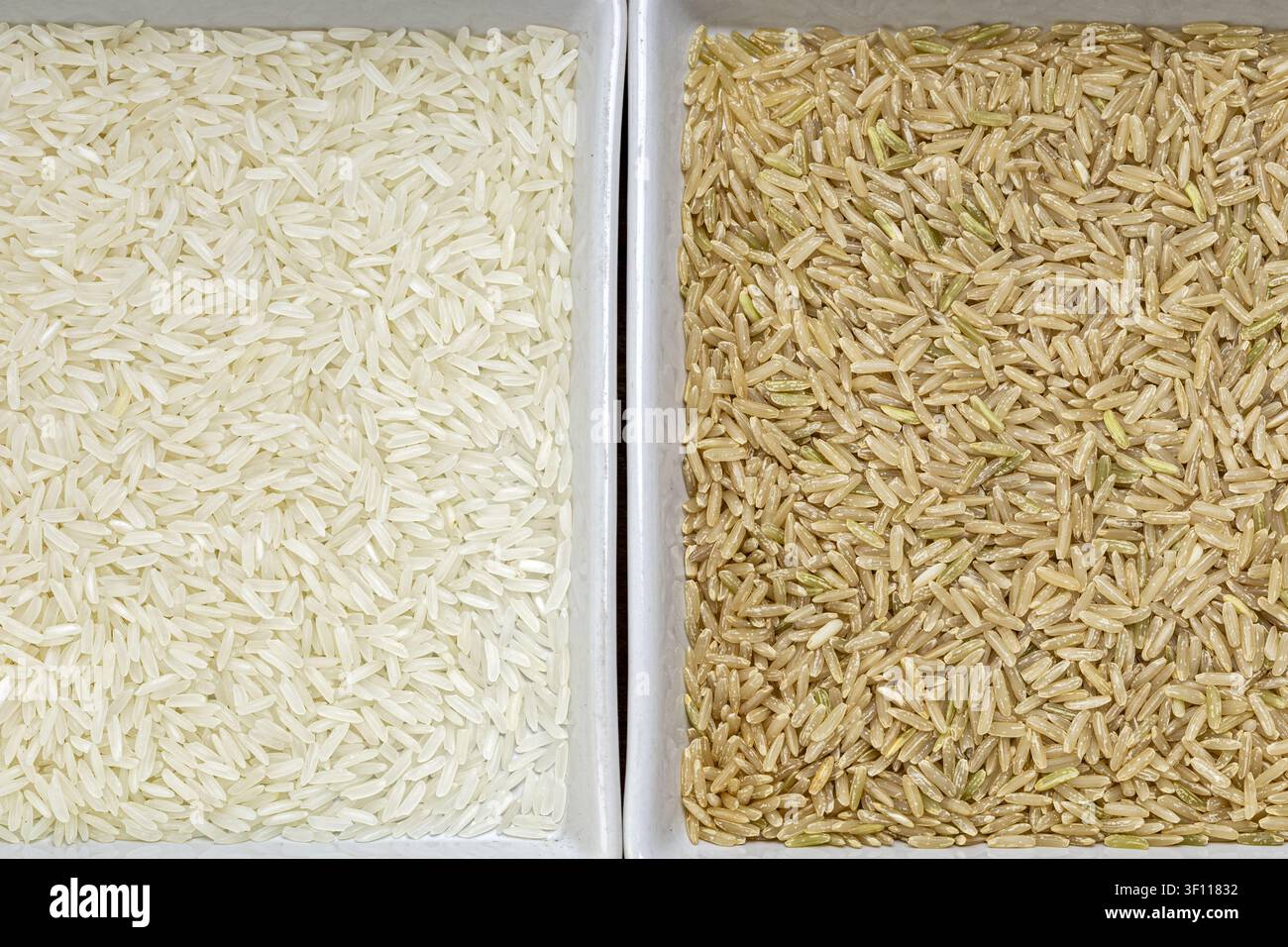 Nahaufnahme von oben: weißer Jasminreis (Hom Mali) und brauner Hom-Mali-Reis in zwei separaten Behältern, wobei der Kontrast betont wird Stockfoto