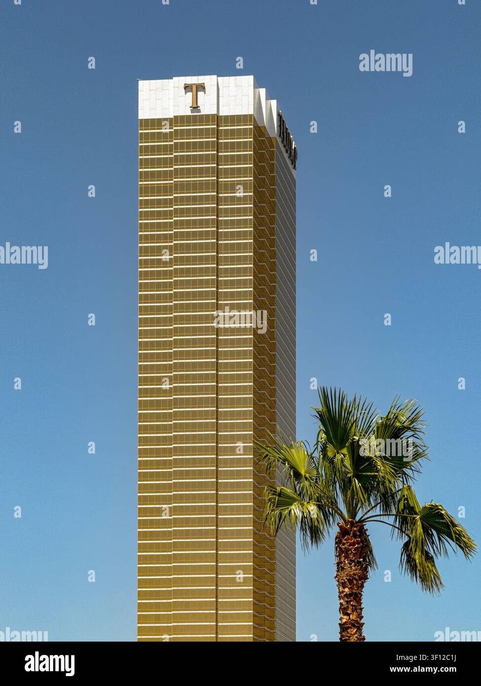 Las Vegas, Nevada, USA - 24. Juni 2026: Außenansicht des Trump-Hotels in Las Vegas vor einem tiefblauen Himmel mit einer Palme. - Smartphone-aufgenommenes Stockfoto