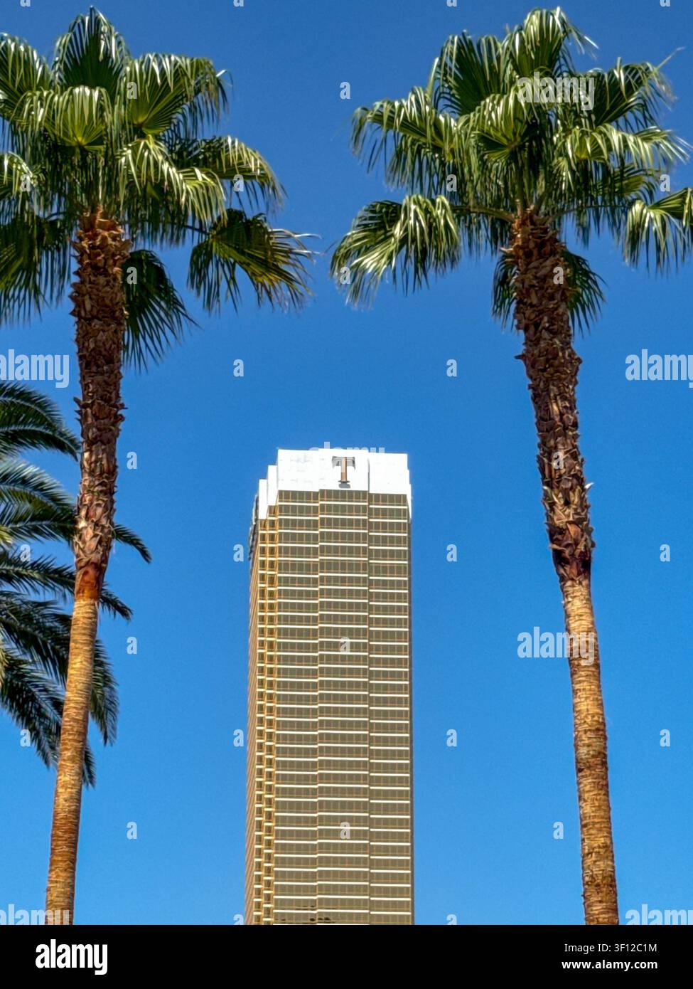 Las Vegas, Nevada, USA - 24. Juni 2026: Außenansicht des Trump-Hotels in Las Vegas vor einem tiefblauen Himmel, eingerahmt von Palmen - Smartphone-aufgenommenes Stockfoto