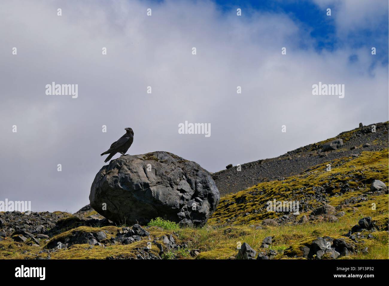 **Titel für Alamy:**  **Eisvogel (Corvus corax) sitzt auf einem riesigen Felsen mit blauem Himmel und Wolken im Hintergrund** Stockfoto