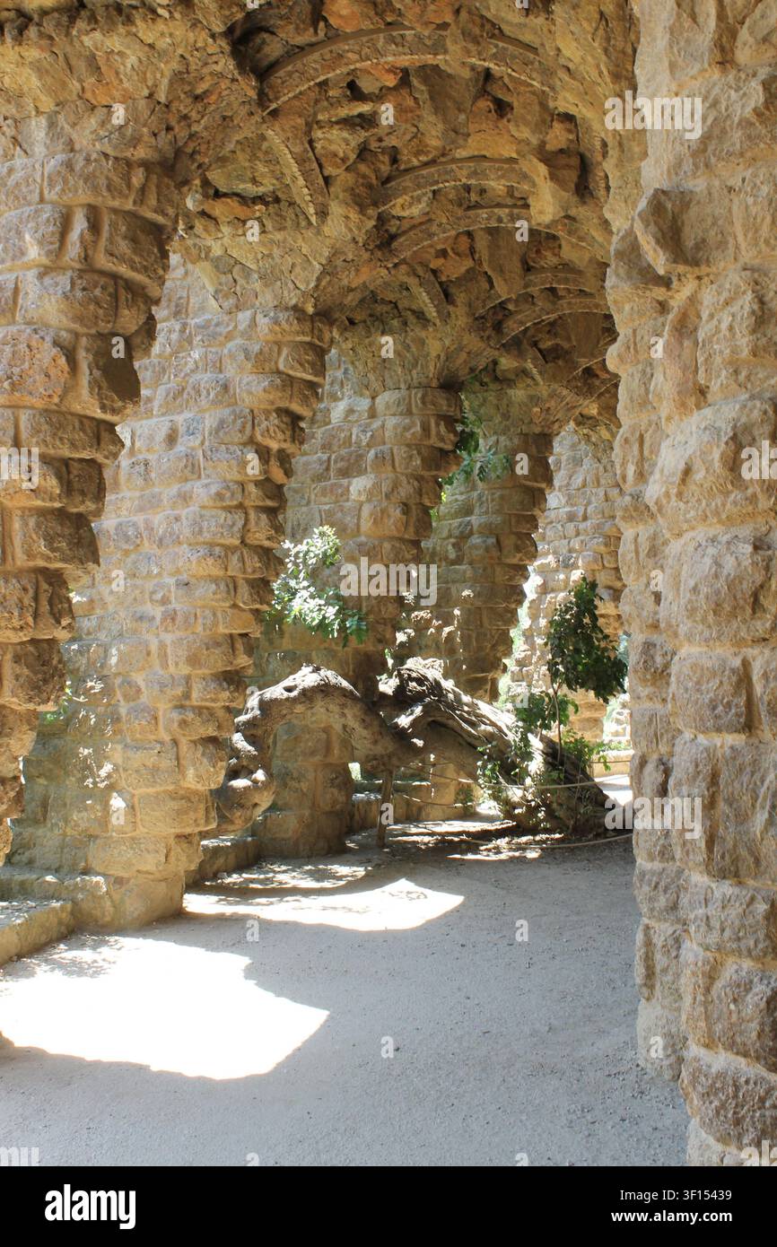 Die Itinerari de la Biodversitat im Parc Güell in Barcelona, Spanien Stockfoto
