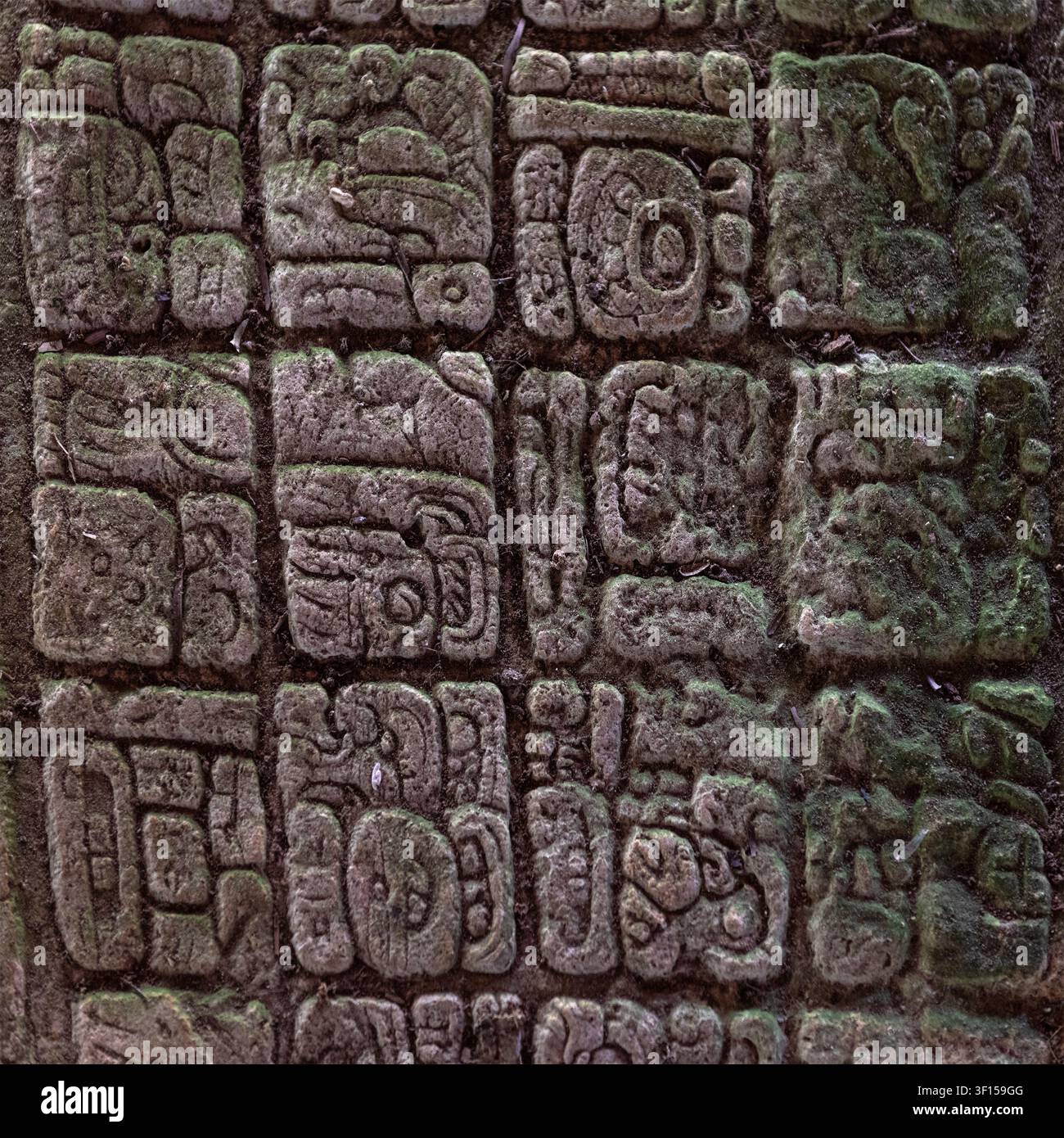 Hieroglyphen auf einer Maya-Stela, Yaxchilan, Chiapas, Mexiko. Stockfoto