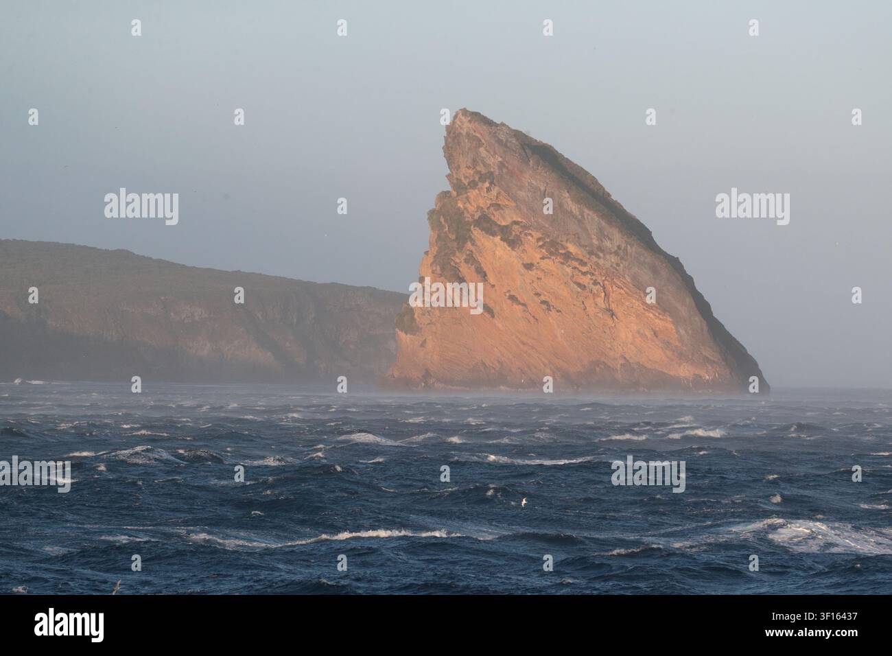 Felsformationen, abendliche Sonnenschein, Küste der Gough-Insel, britisches Überseegebiet, Südlicher Atlantik Stockfoto