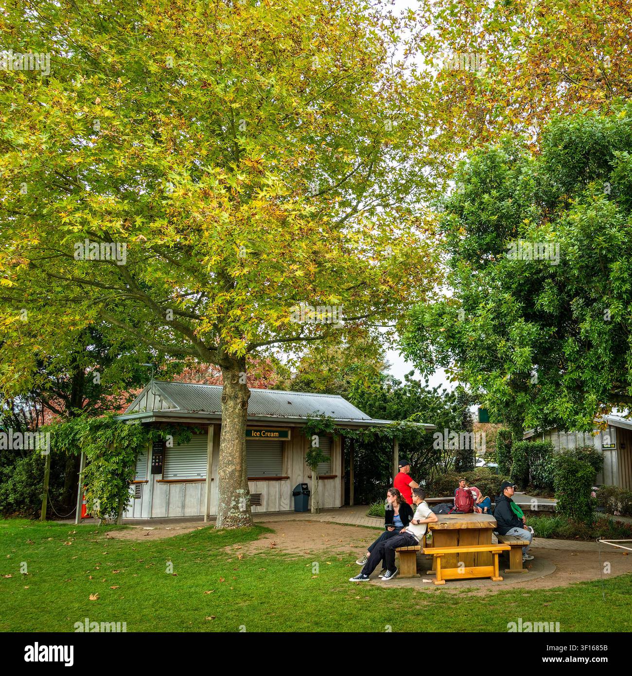 Eine Park-Szene im Freien mit Menschen, die sich unter großen grünen Bäumen an einem Eis-Kiosk entspannen. Stockfoto