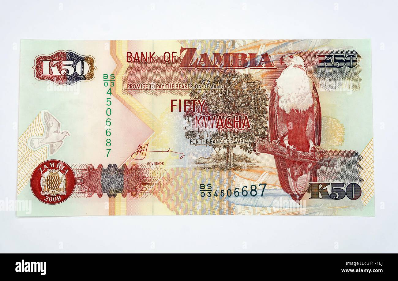 Fünfzig (50) sambische Kwacha-Banknote, Sambia, Afrika Stockfoto