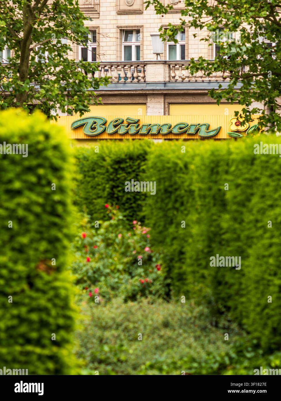 Berlin, Deutschland - 12. Juni 2026: Lebendiges Blumenladen-Schild in einer historischen Berliner Straße mit üppiger Grünpflanze und roten Rosen Stockfoto