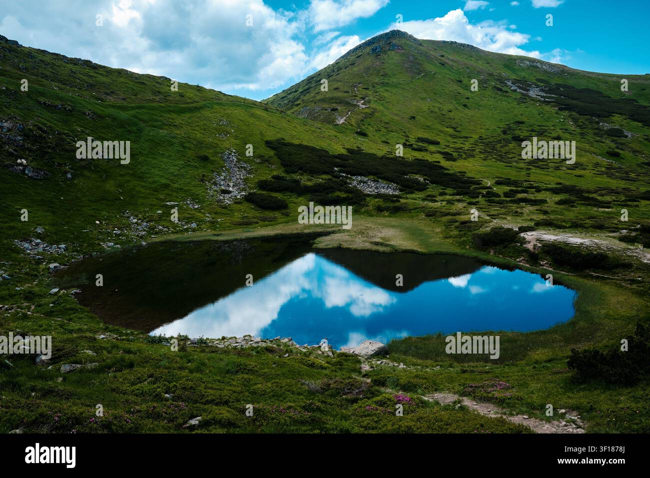 Ein Hochgebirgssee, der sich zwischen steilen grünen Graten befindet, und das klare Wasser dient als Spiegel, der den blauen Himmel und die weißen Wolken widerspiegelt. Nesamovit-See Stockfoto