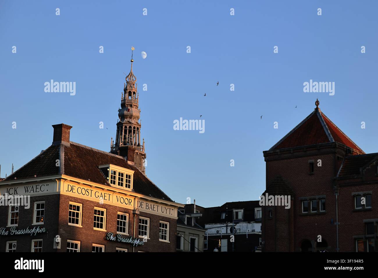 Historische Amsterdamer Dächer und ein hoher Turm erheben sich über den Fassaden am Damrak, mit einem blassen Mond, vereinzelten Vögeln und Dachdetails vor dem blauen Himmel. Stockfoto