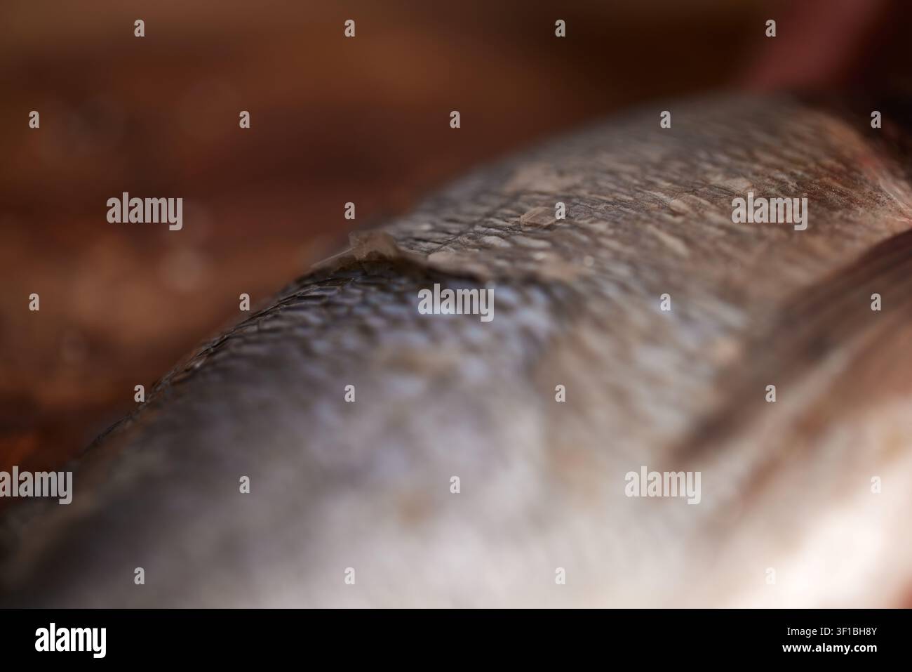 Nahaufnahme der Schuppenstruktur von Fischen Stockfoto