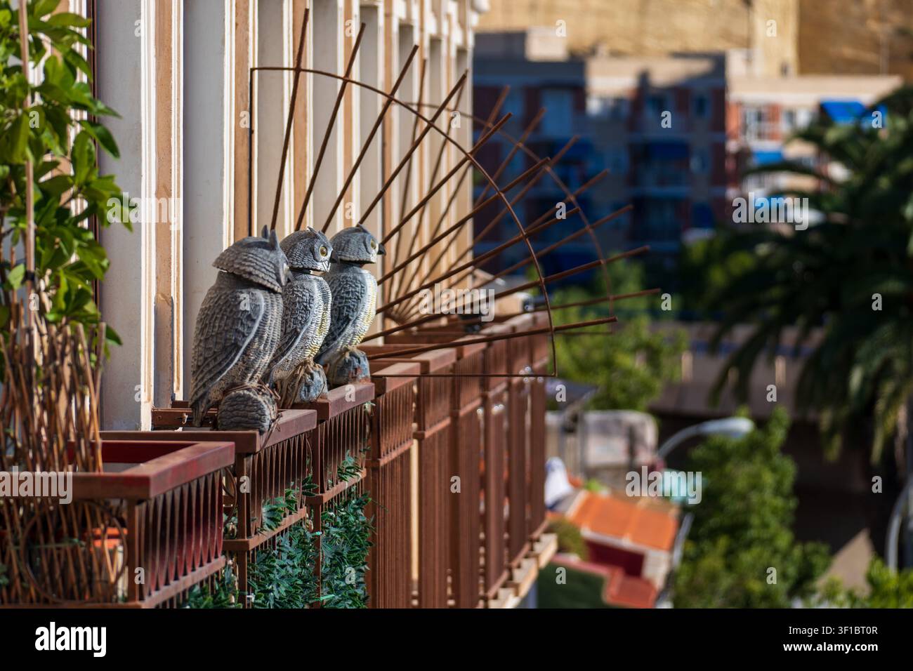 Ein scharfes, auf Augenhöhe aufgenommenes Profil einer realistischen grauen Eulenfigur, die als Balkondekoration und Vogelschutz verwendet wird. Auf einer geometrisch flächigen Oberfläche platziert, die Stockfoto