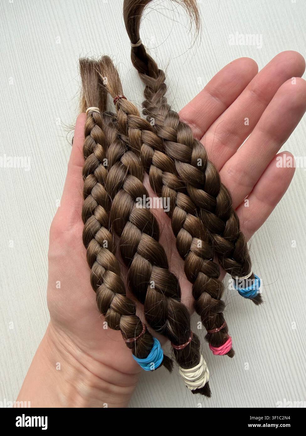 Geflochtene Strähnen aus natürlichem braunem Haar, geschnitten für eine Spende, die in einer Hand gehalten wird. Eine Nahaufnahme von mehreren ordentlichen Zöpfen aus hellbraunem Menschenhaar, gesichert mit c Stockfoto