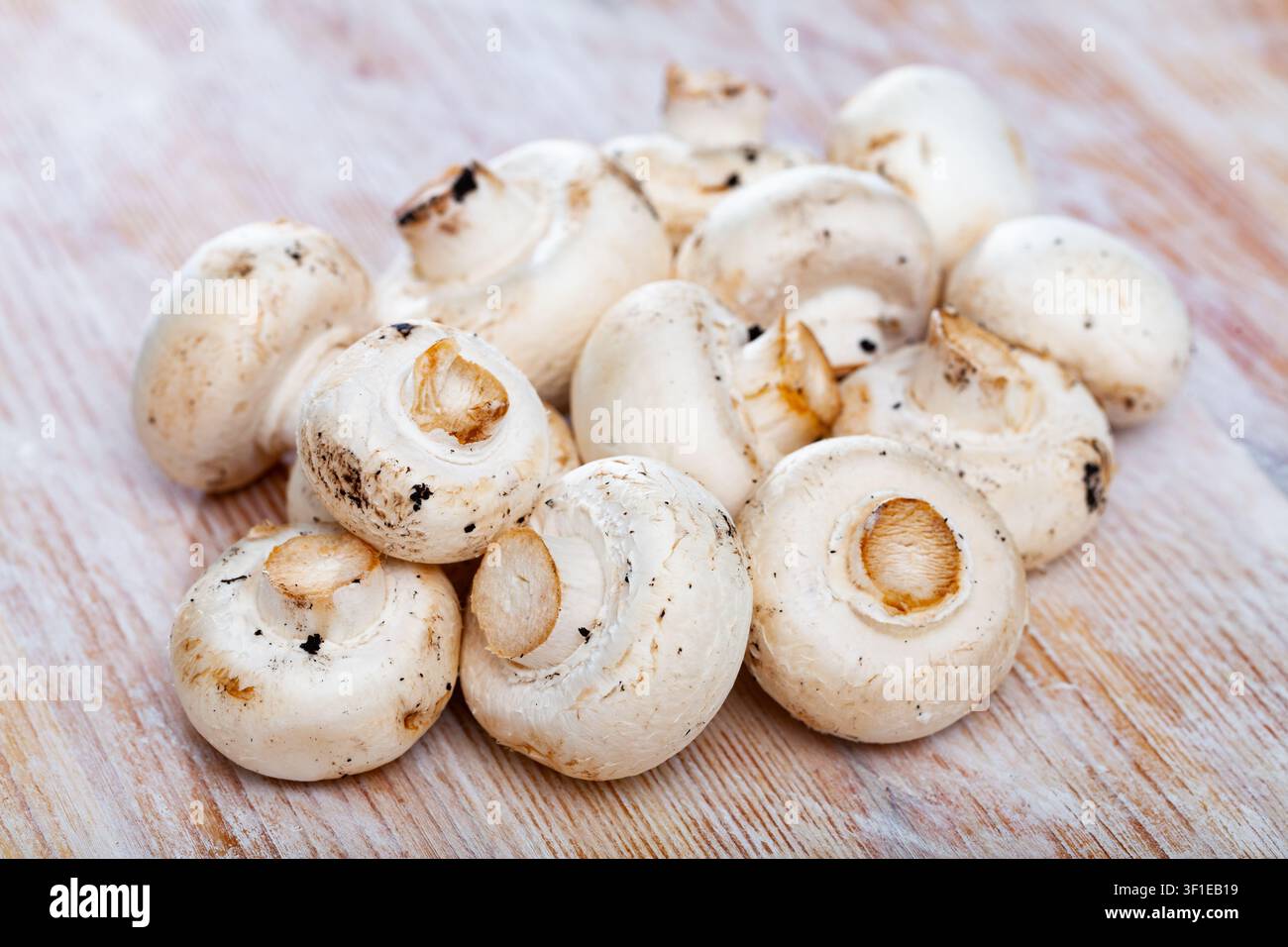 Rohe weiße Champignons auf Holzbelägen in der Küche Stockfoto