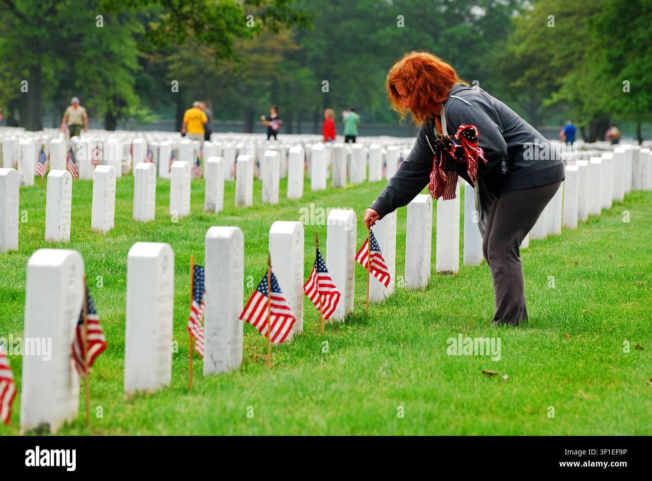 Eine Frau engagiert sich auf einem Militärfriedhof, um amerikanische Flaggen auf die Gräber von Soldaten zu legen, die im Einsatz gefallen sind Stockfoto
