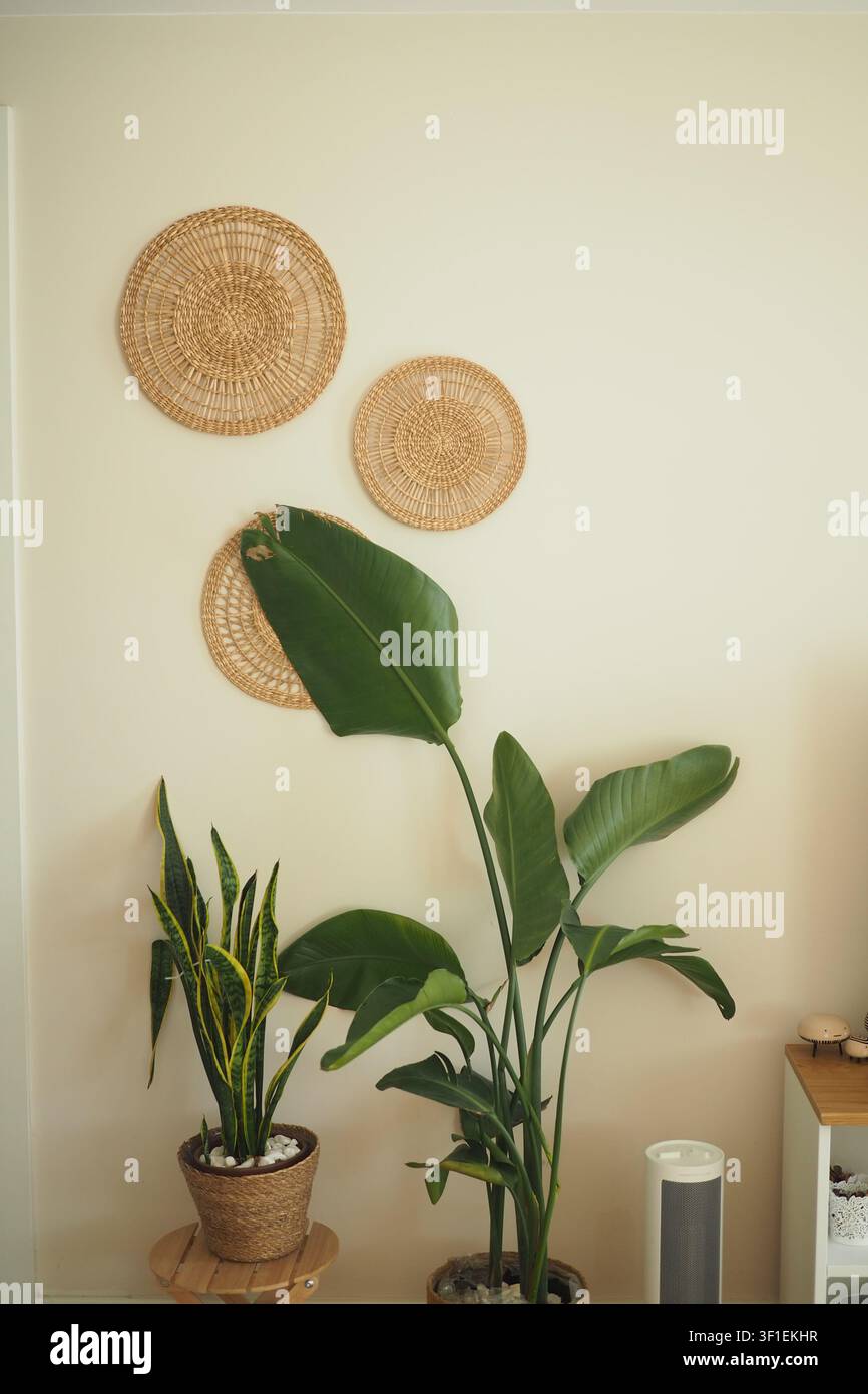 Wohnraumdekoration mit Pflanzen und gewebter Wandkunst Stockfoto