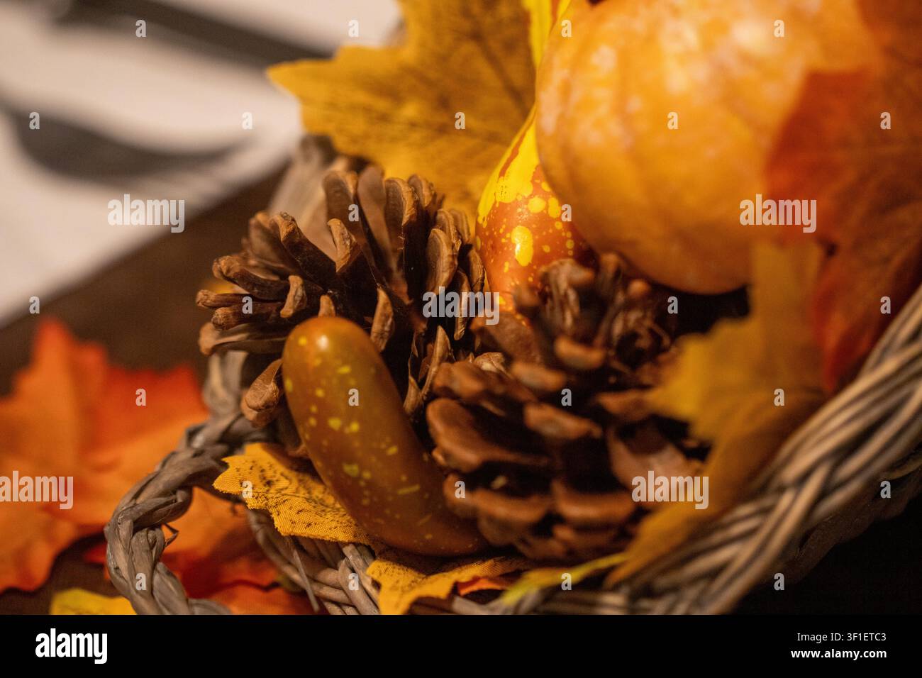 Ein warmes Nahaufnahme-Foto eines geflochtenen Weidenkorbs gefüllt mit kleinen dekorativen Kürbissen, Flaschenkürbissen, Tannenzapfen und lebhaften Herbstblättern Stockfoto