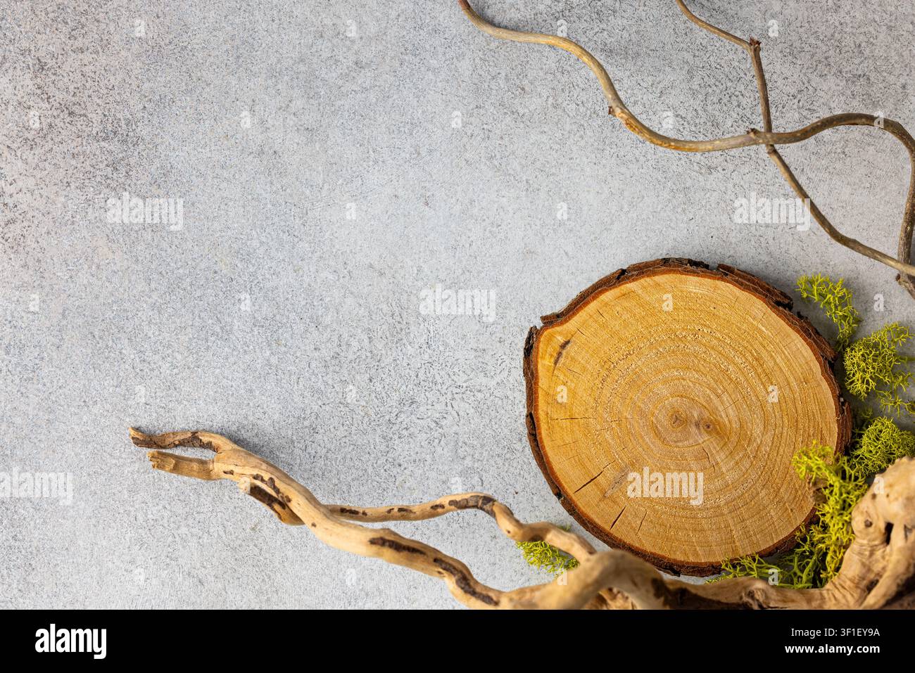 Natürliches Holzscheibchen und verdrehtes Astarrangement auf strukturiertem Hintergrund für Öko-Design Stockfoto