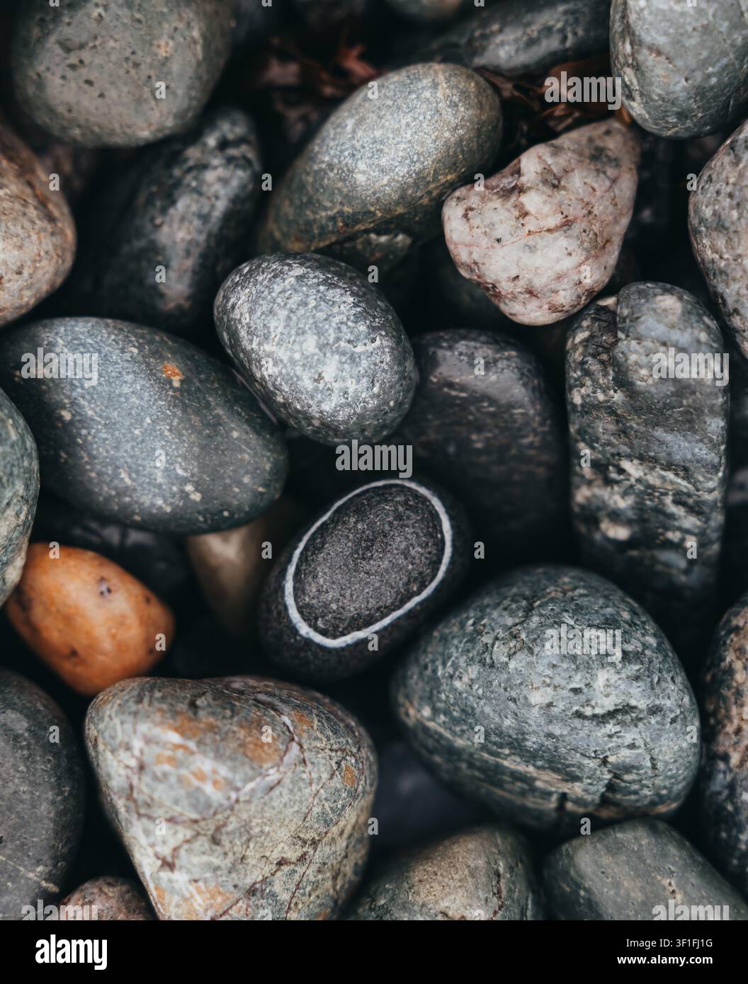 Einzigartiger ringförmiger Stein unter glatten nassen Felsen an einem felsigen Strand Stockfoto