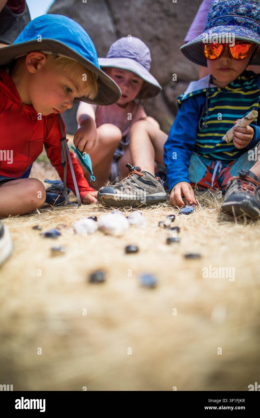 Neugierige Kinder betrachten ihre Steinsammlung draußen Stockfoto