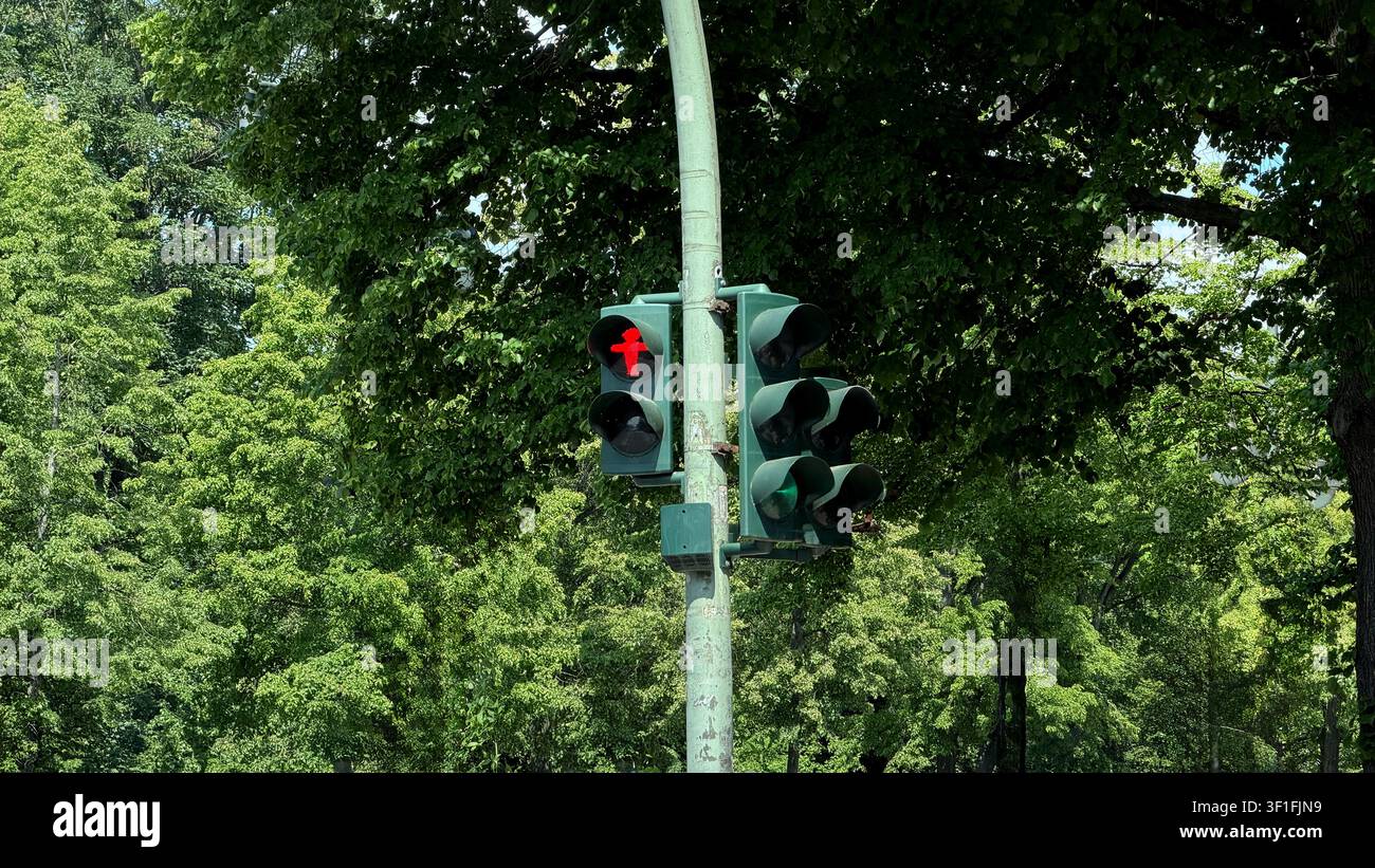 Ampel zeigt rotes Signal für Fahrzeuge, umgeben von üppigen grünen Bäumen in einer Stadtparkszene unter klarem blauem Himmel Stockfoto