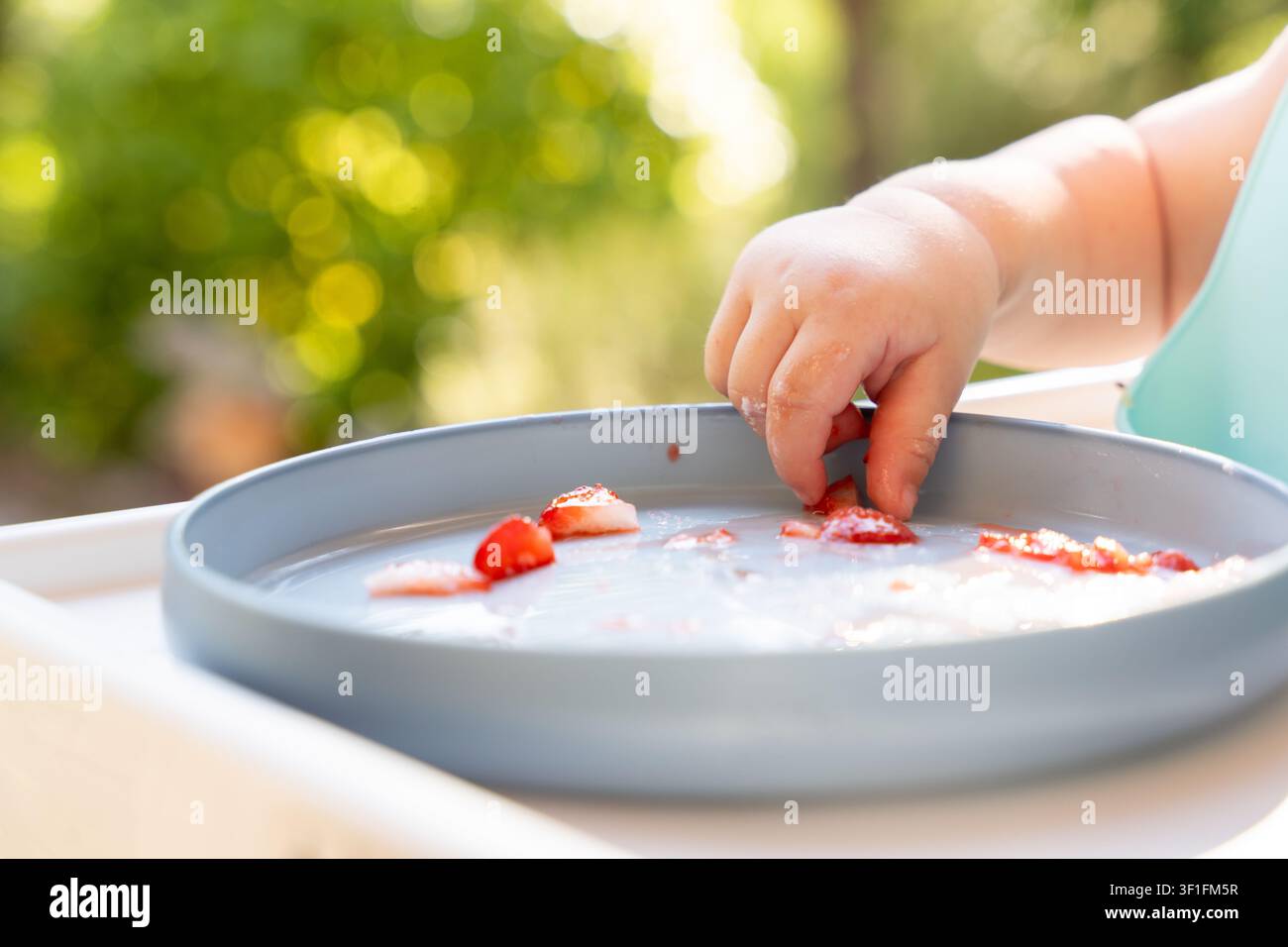 Ein glückliches Baby sitzt im Hochstuhl im Freien, verwendet eine Fingerpinzette, um gesunde rote Erdbeeren von einem Teller zu essen, entdeckt Texturen und entwickelt sich Stockfoto