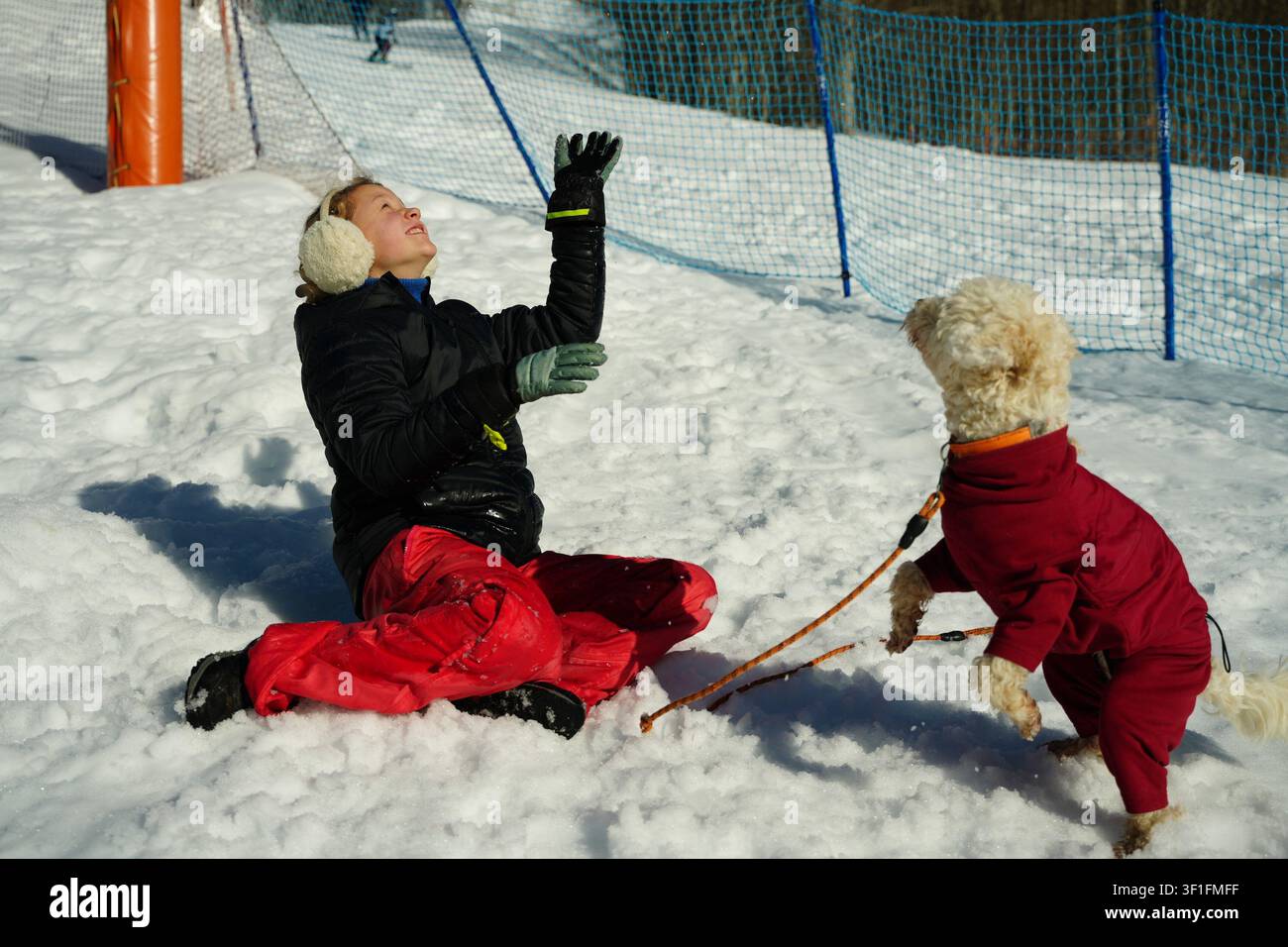 Winterlicher verspielter Moment mit Hund und Mensch im Schnee Stockfoto