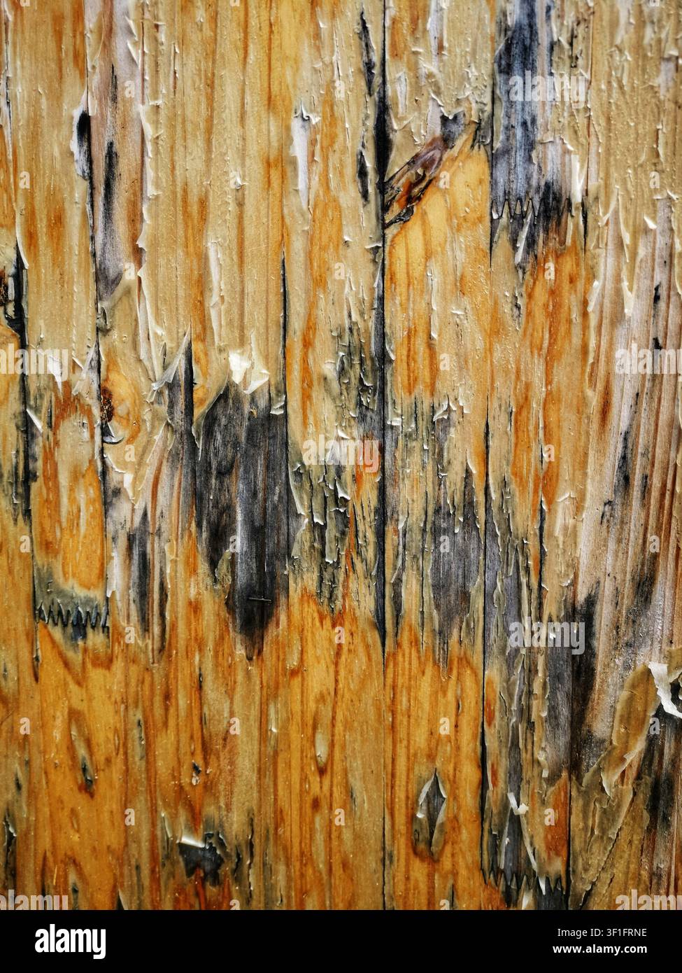 Nahaufnahme einer verwitterten Holzoberfläche zeigt eine reiche Textur. - Smartphone-aufgenommenes Stockfoto