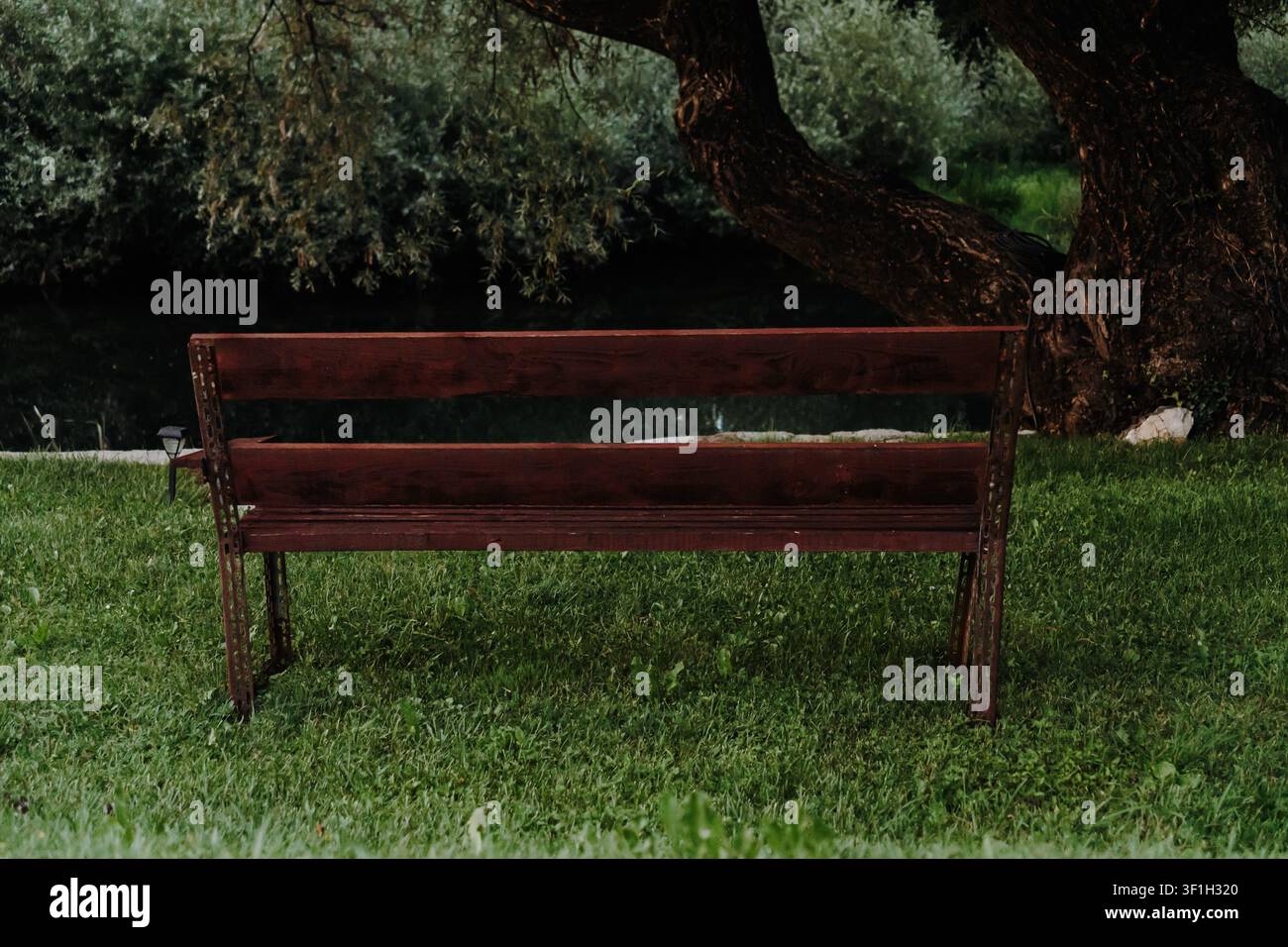 Eine einfache Holzbank überblickt einen friedlichen Teich unter einem großen Baum. Die ruhige natürliche Umgebung bietet einen entspannenden Ort zum Ausruhen im Freien. Stockfoto
