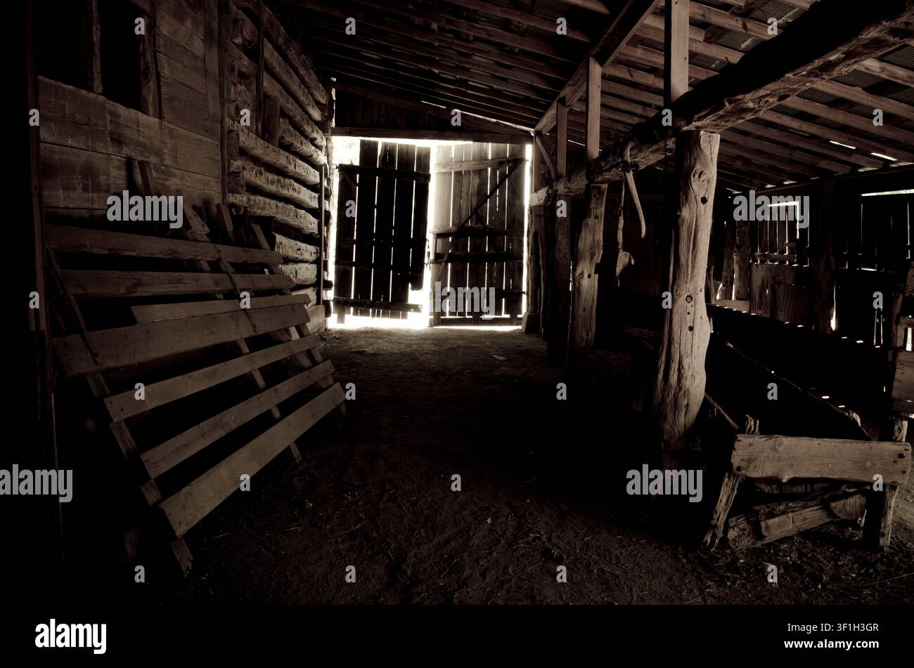 Innenraum eines verwitterten Holzbarns mit groben Holzbalken, Viehställen und Sonnenlicht, das durch eine offene Tür fällt. Stockfoto